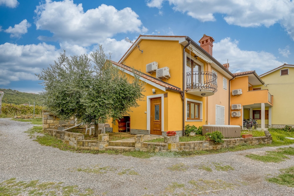 House In The Vineyards