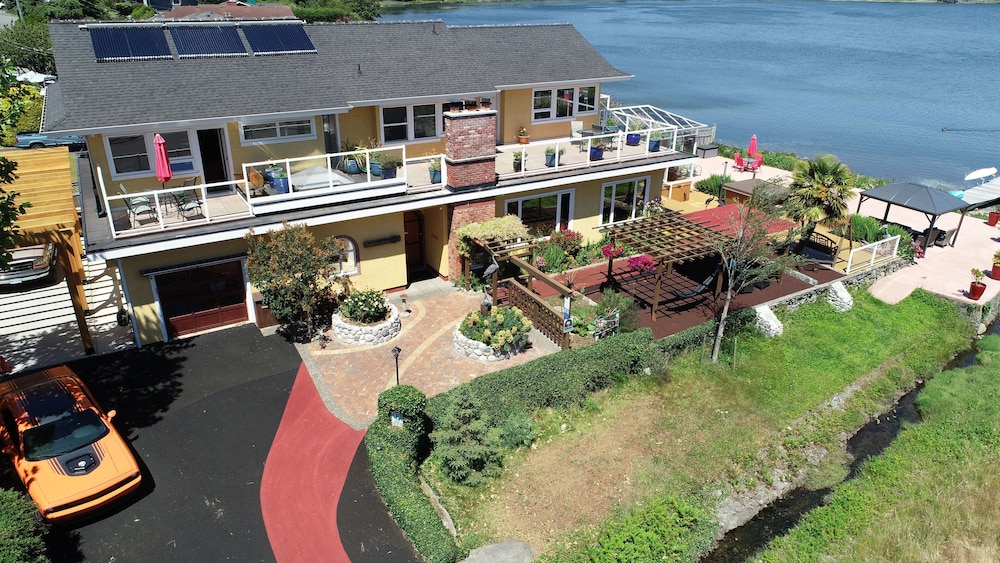 Birds of a Feather Ocean Lagoon Victoria Condos