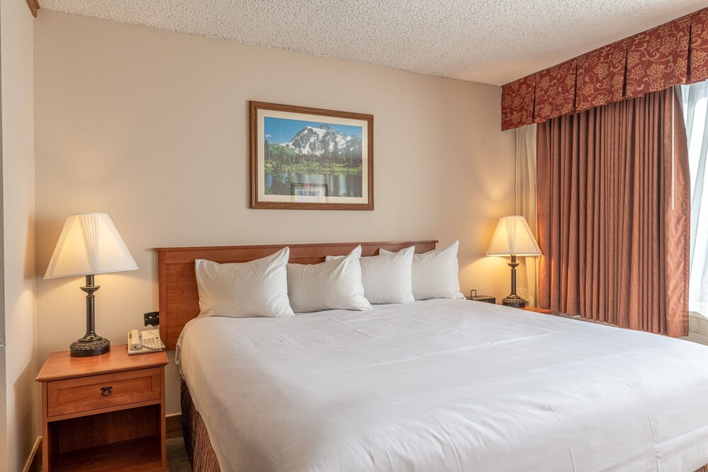 Studio With 2 Kings In Base Area 1 Bedroom Condo - No Cleaning Fee! by Redawning