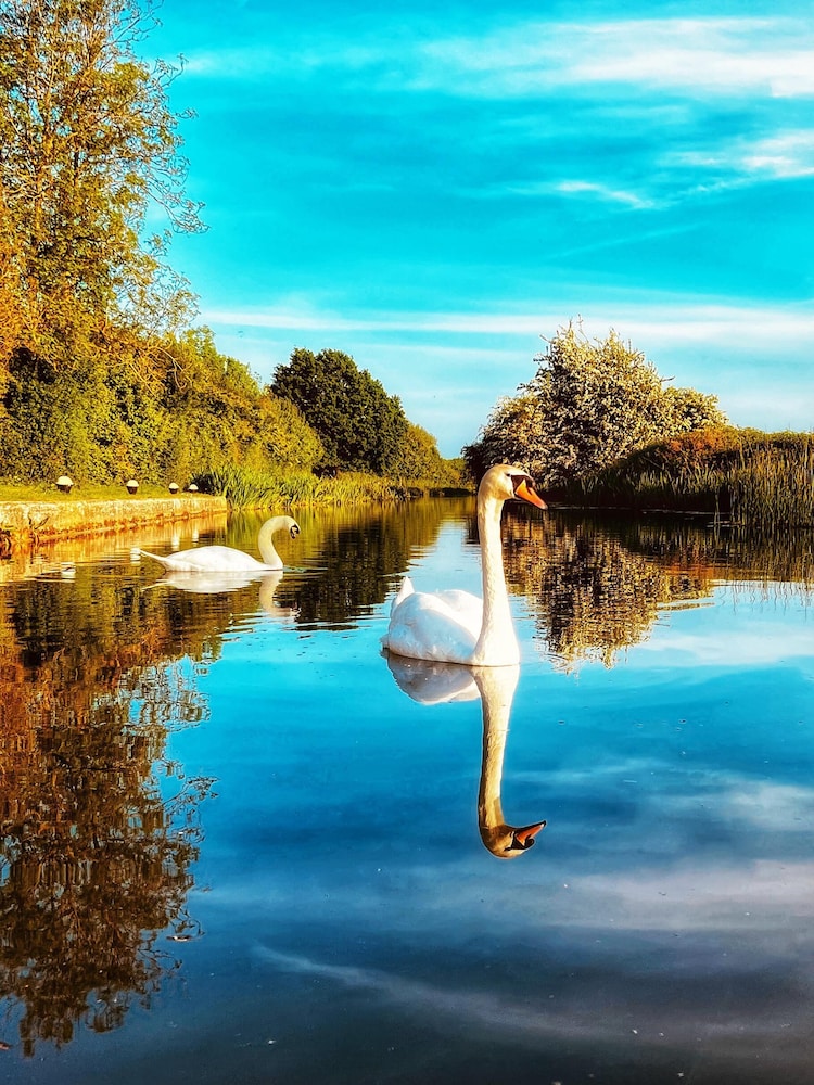 360 Serviced Accommodations - Swan Path Retreat - 2 Bedroom Apartment