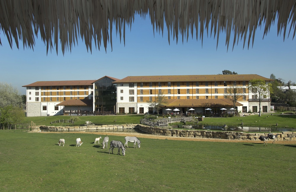 Chessington Safari Hotel
