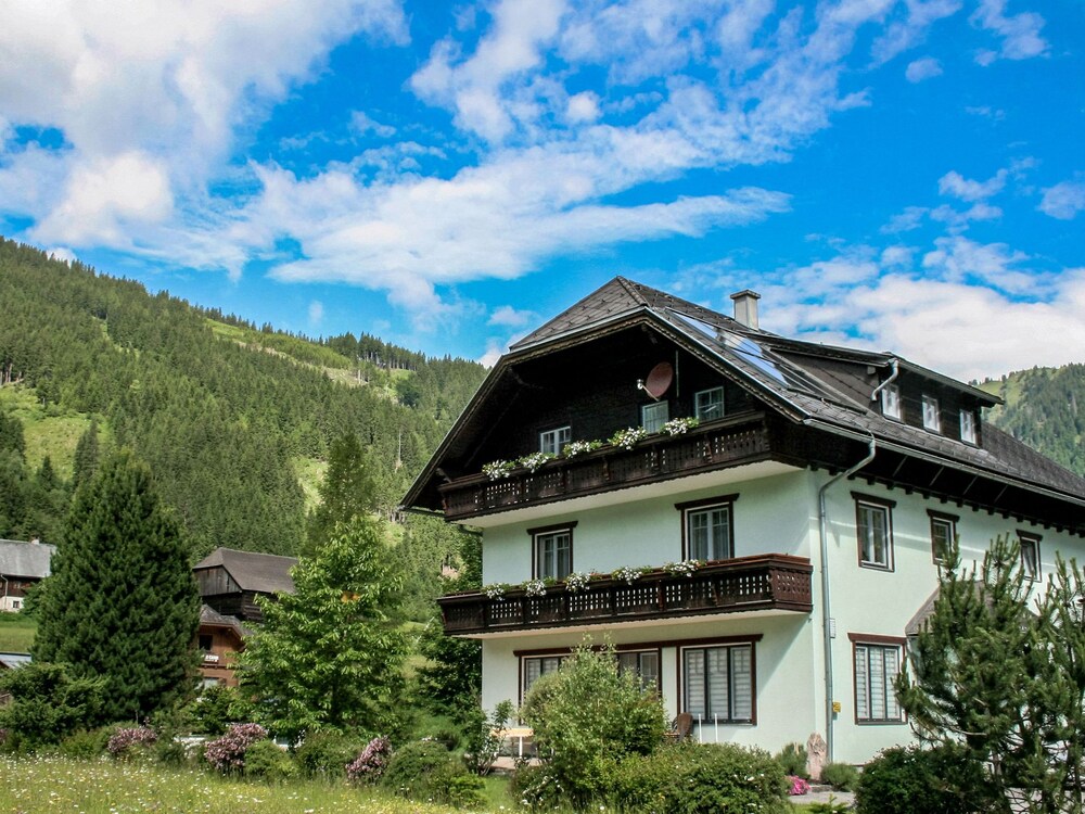 Almsommer Donnersbachwald