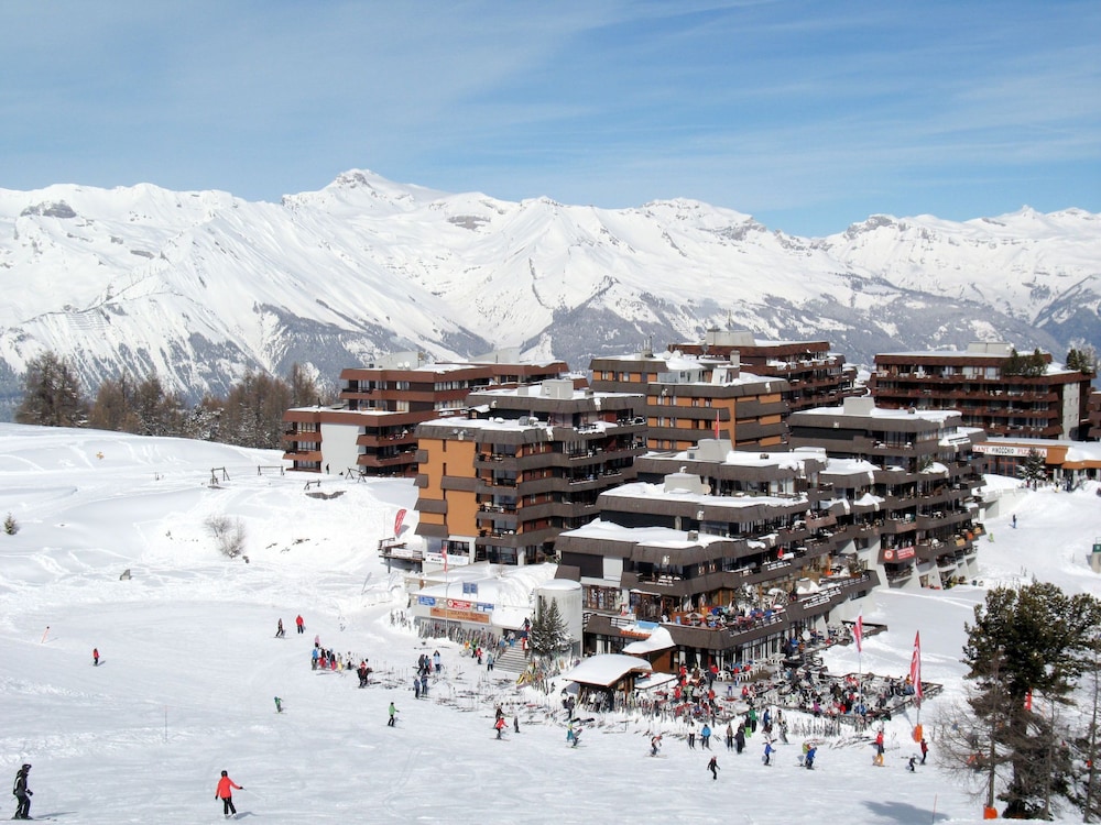 Essert 308 Vex in Vex