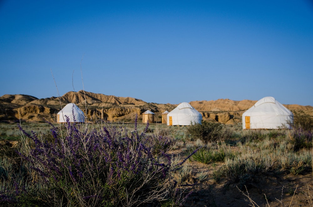 Feel Nomad Yurt Camp