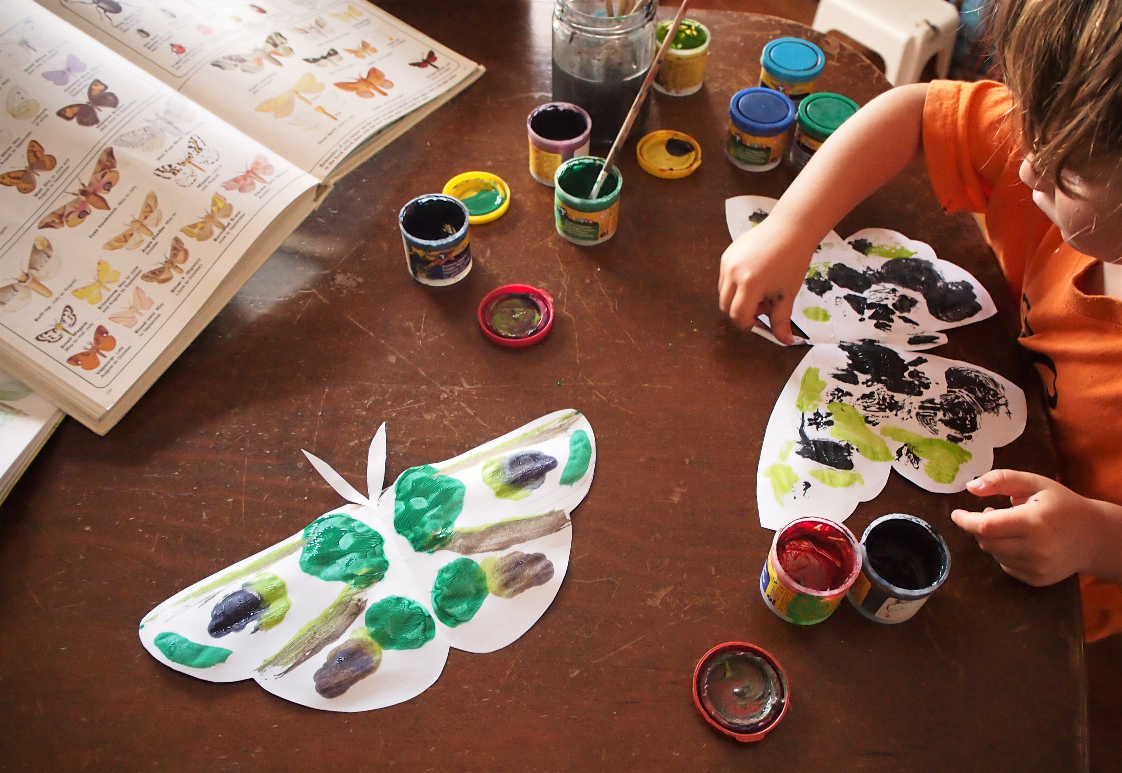 Case Vacanze Cabinovia Colverde