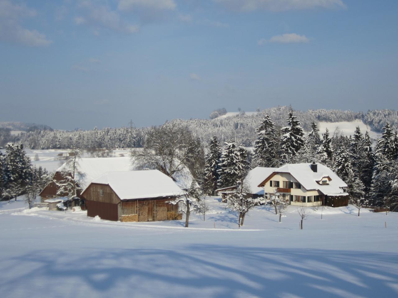 Apartment for 3 persons approx. 40 m2