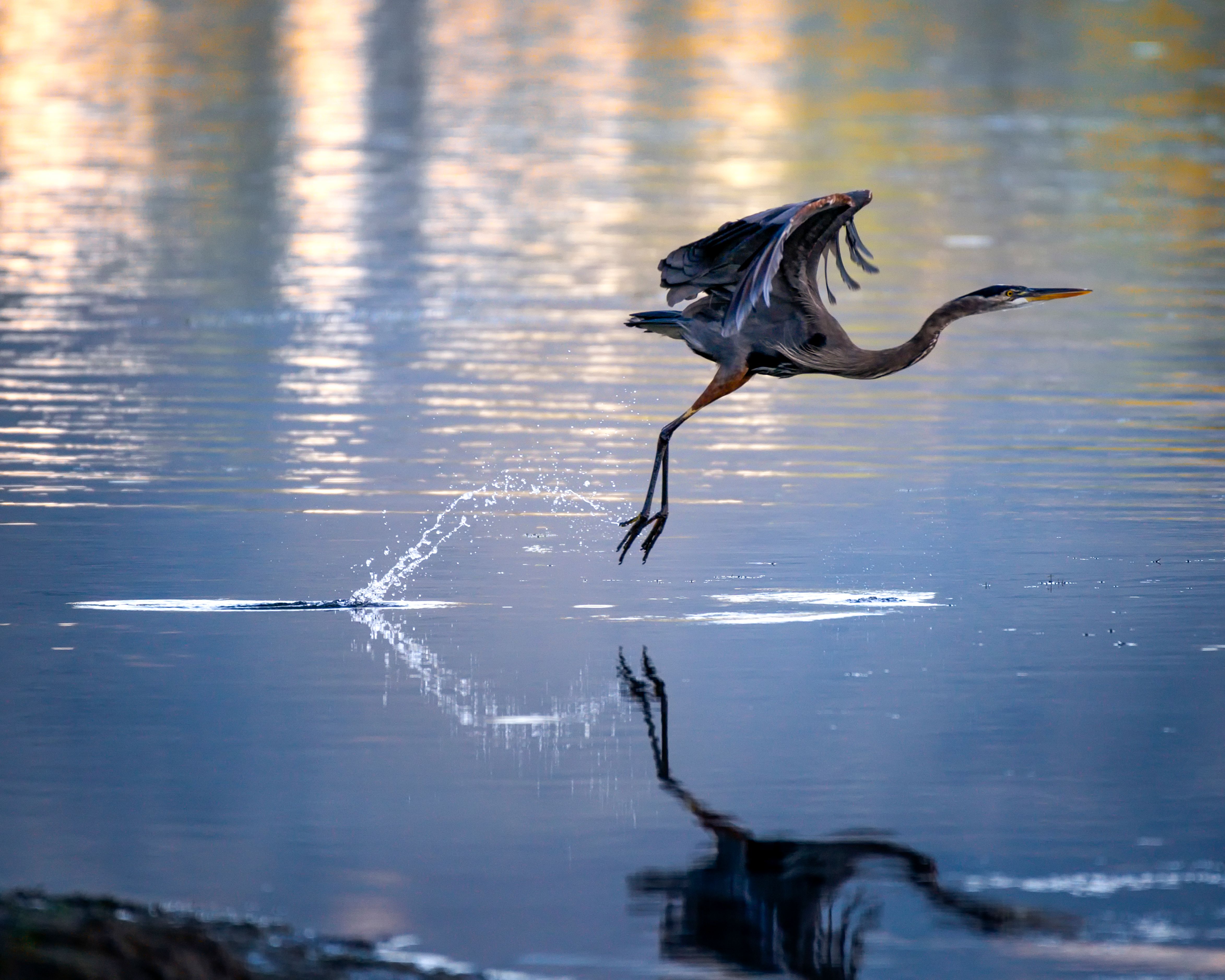 Holiday rentals East Wenatchee