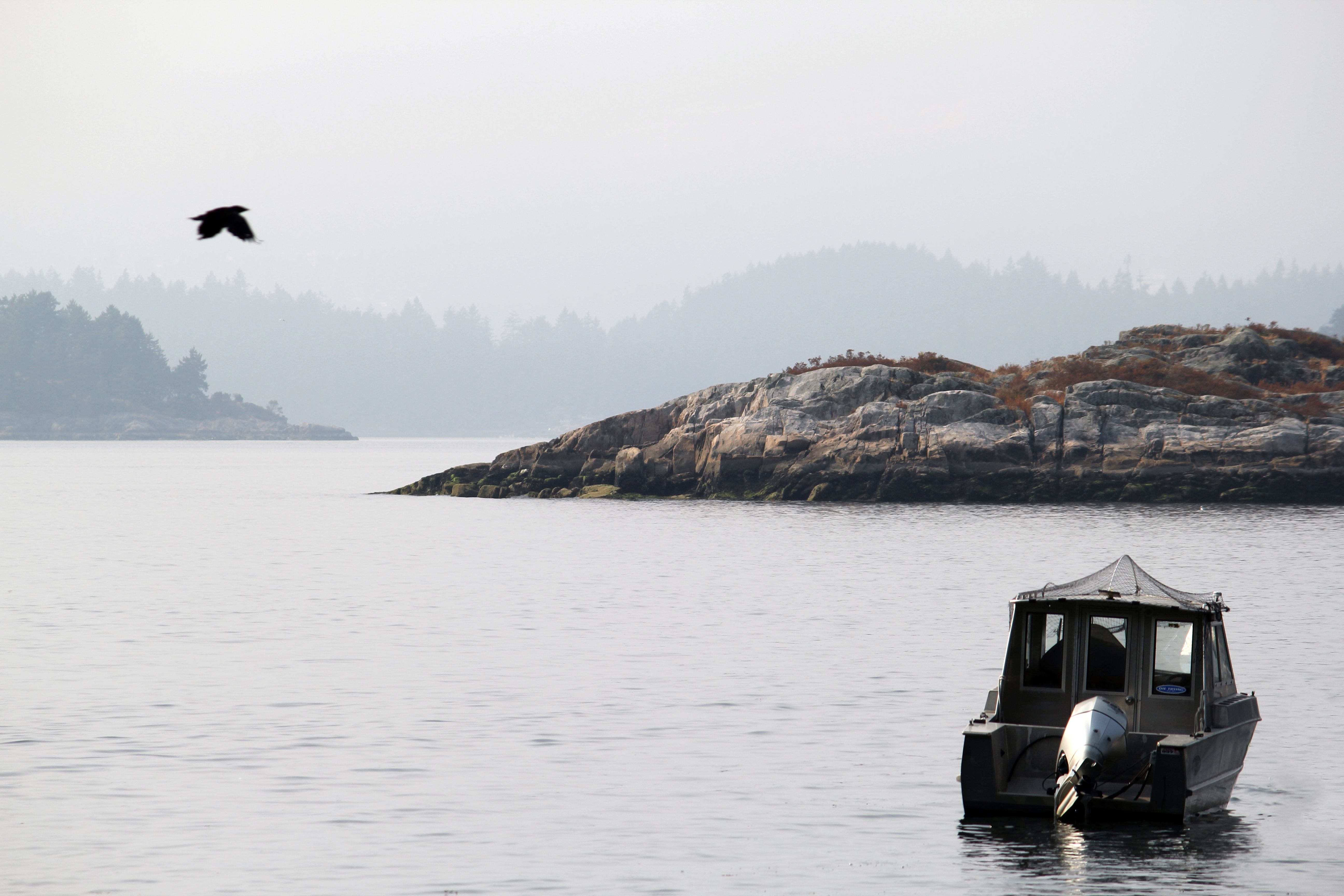 Holiday rentals Bowen Island