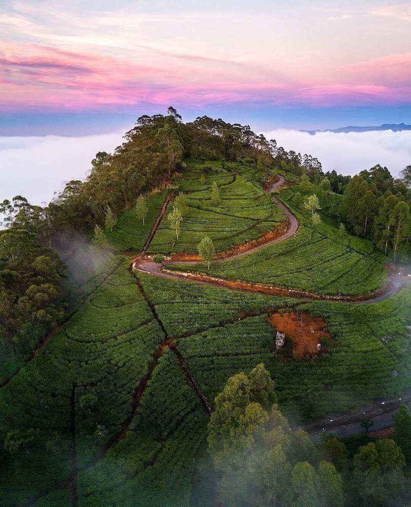 Bel View Guest House