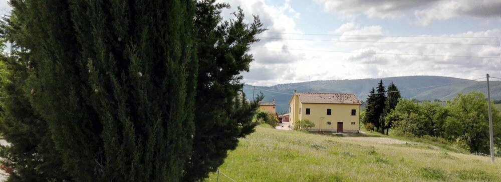 Ziamelia