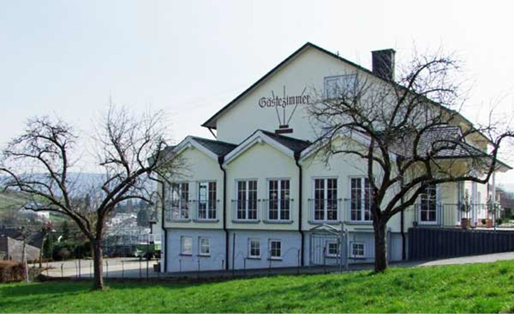 Wein & Gästehaus Rosenlay