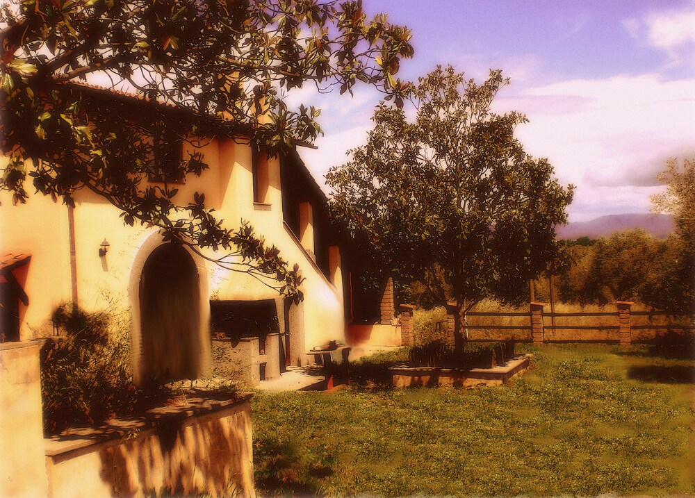 Il Maremmano