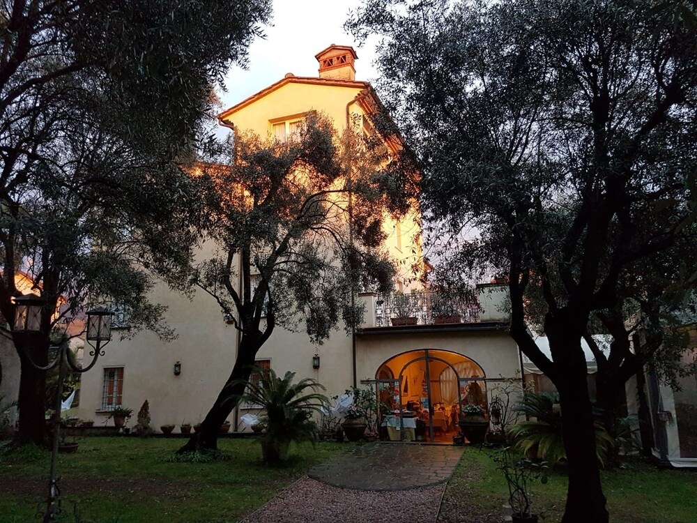 Antico Uliveto