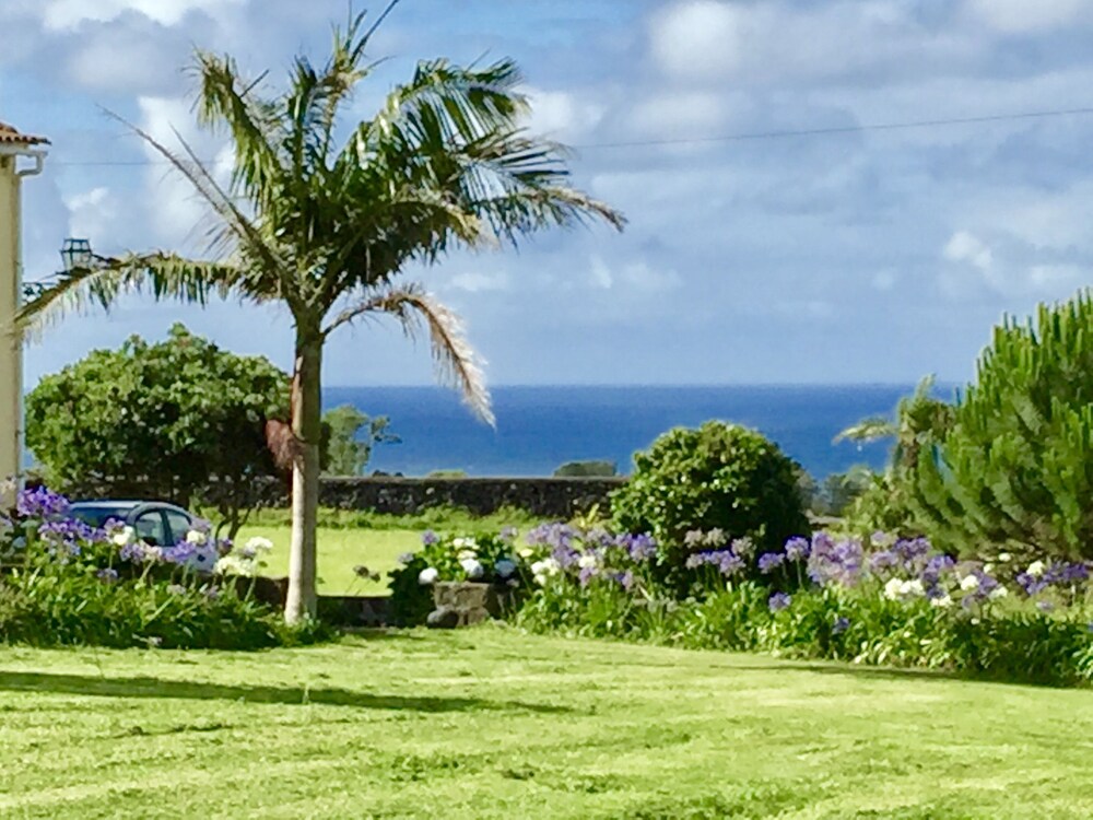Cottage in pineapple plantation with sea views and 9 Acres of Land 
