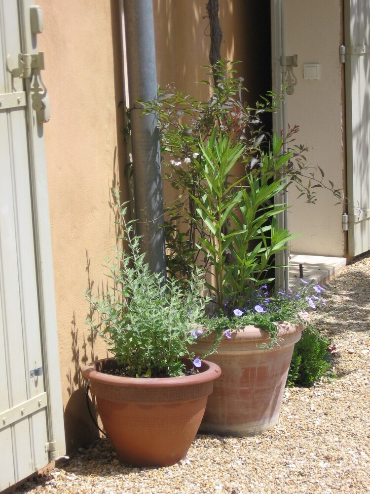 Beautiful farmhouse in the Luberon Vaucluse for 6 people
