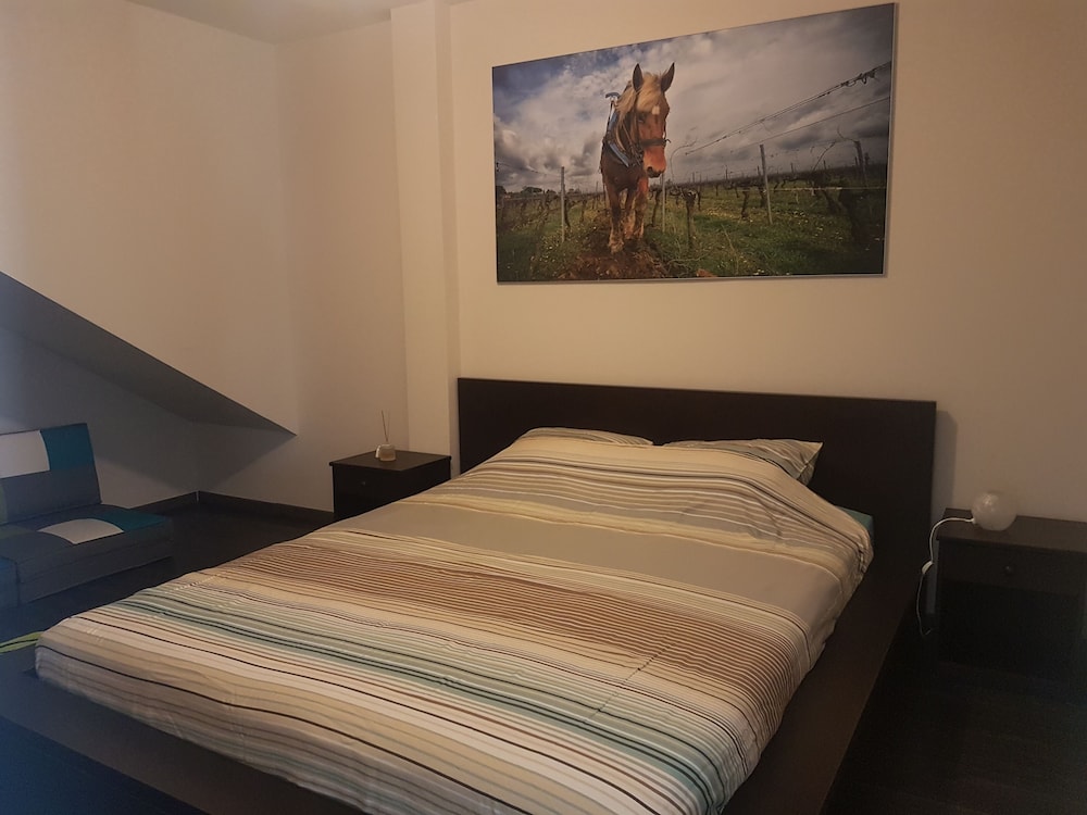 Apartment with garden between Nîmes and Montpellier, between beaches and Cévennes