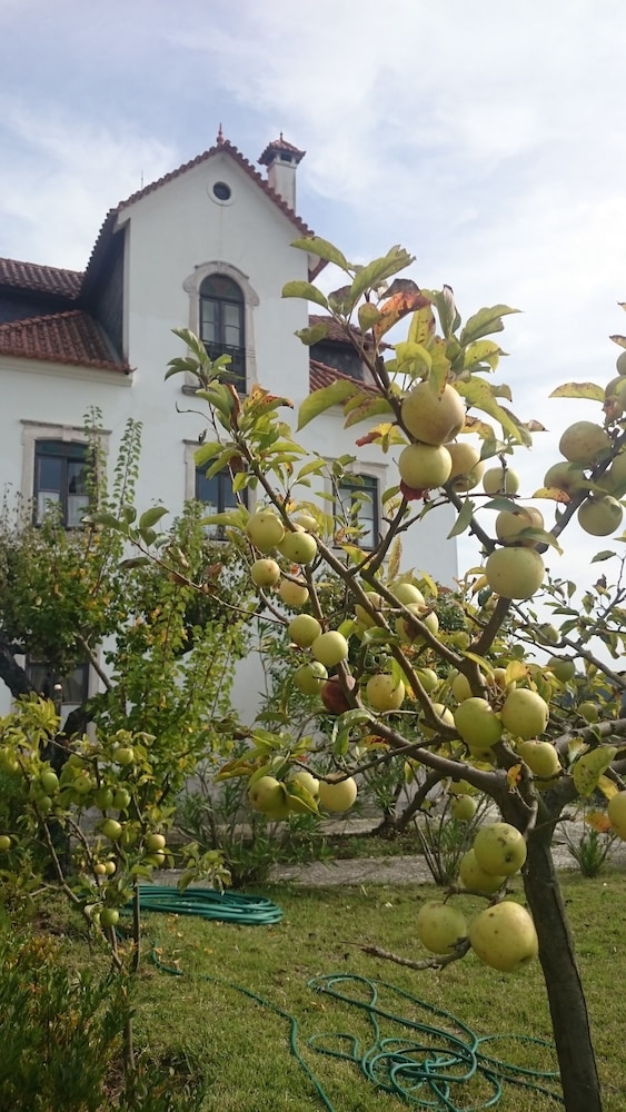 Quinta da Vila Francelina
