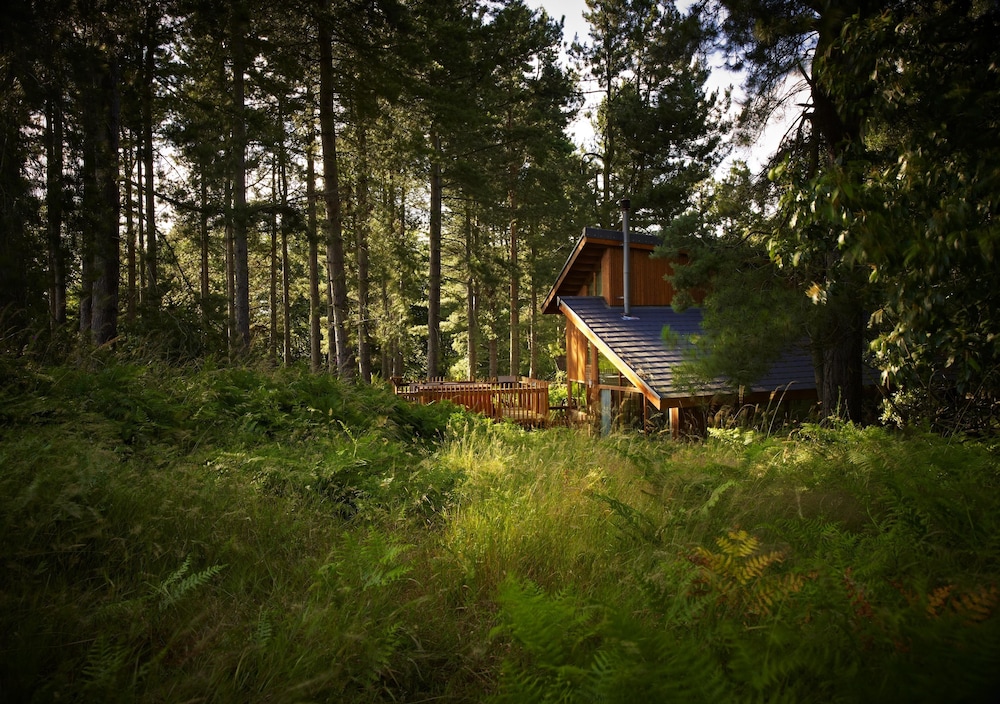 Forest Holidays Sherwood Forest