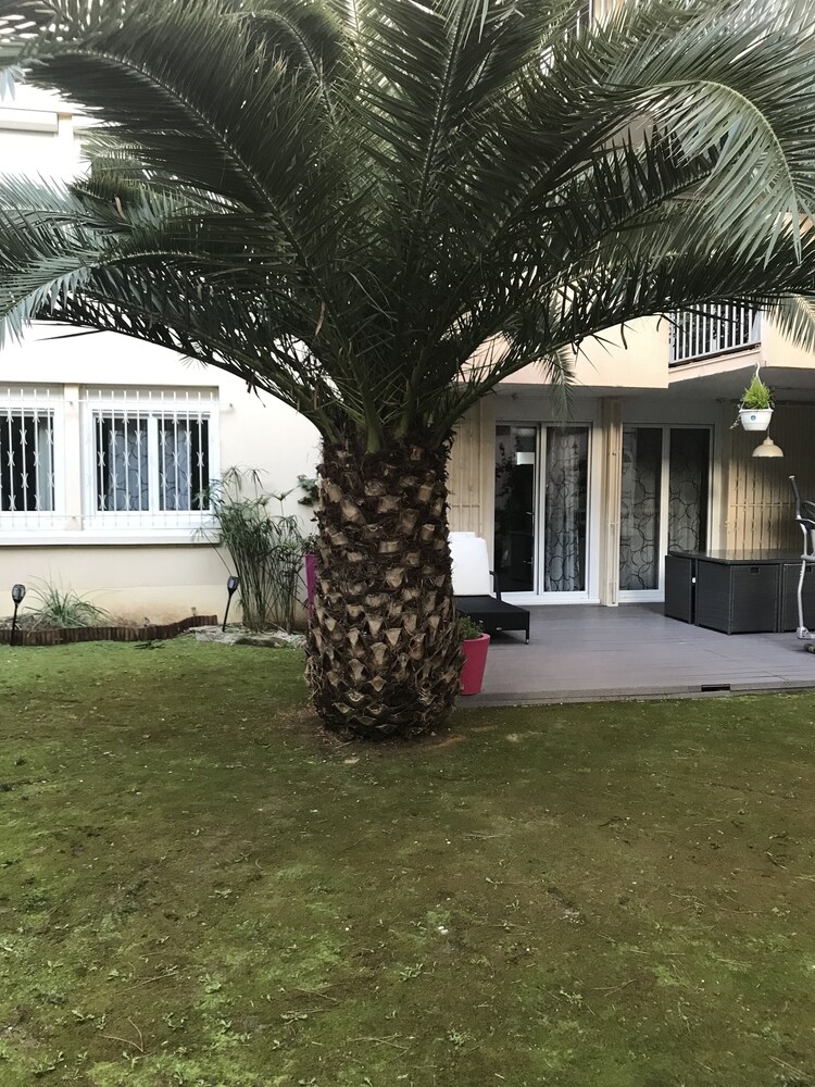 Chambres d'hôtes calmes sous les pins