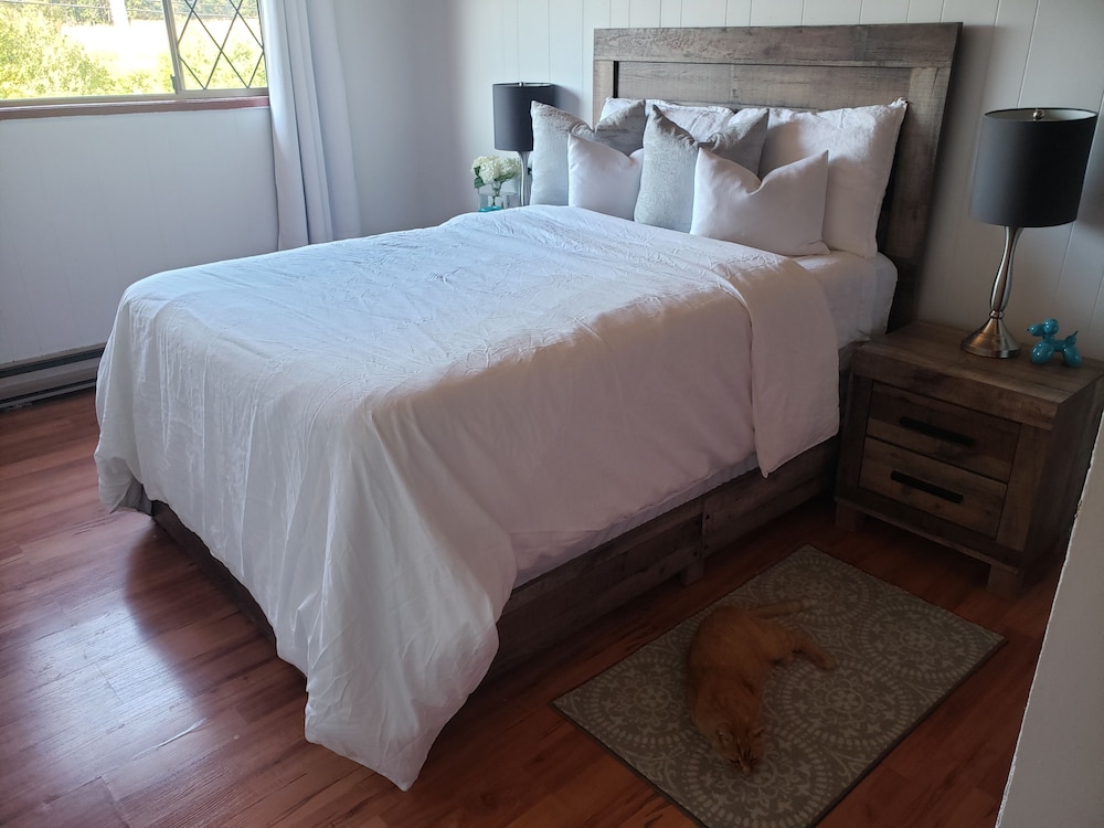 Farm stay with pool, ponds and animals