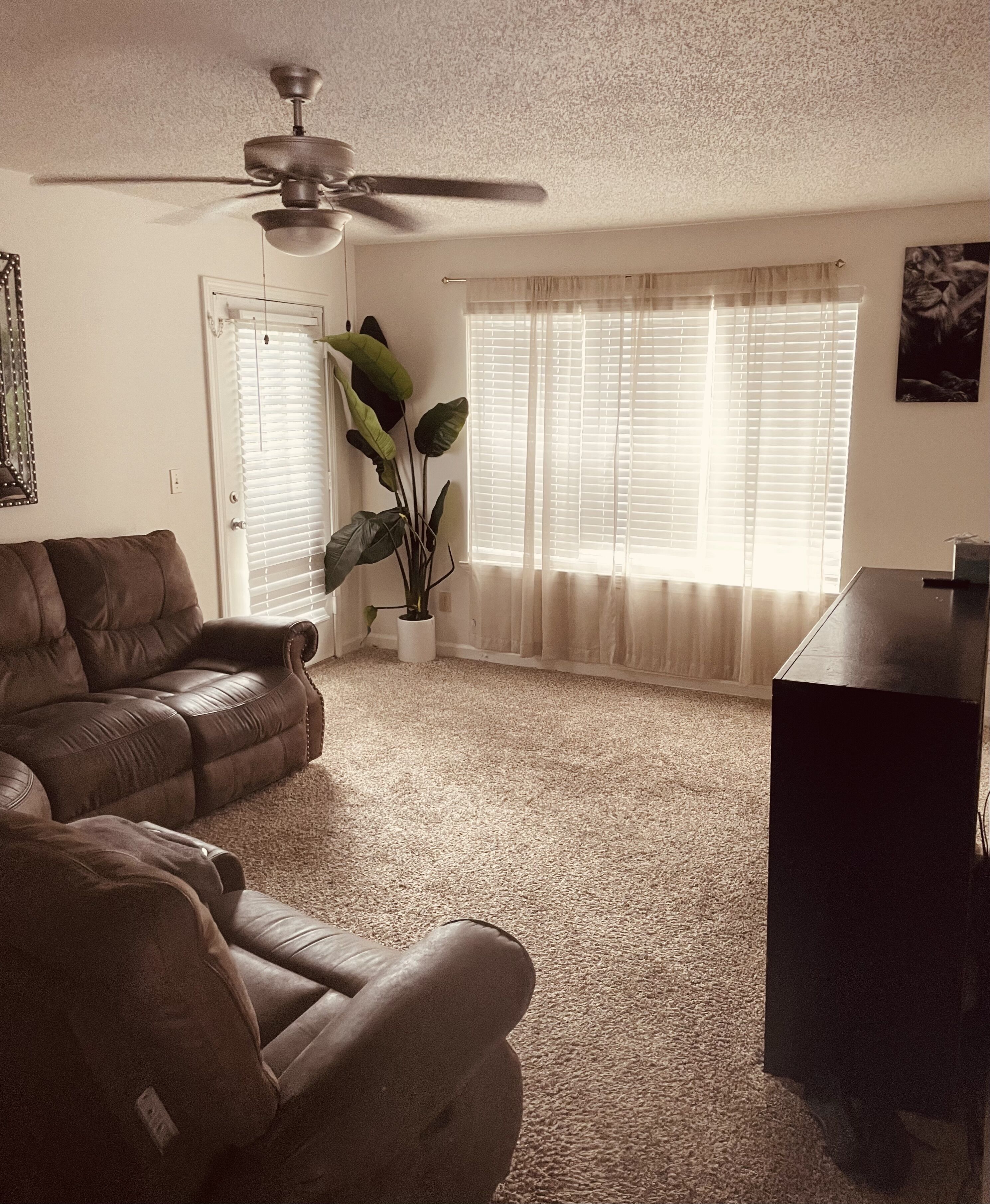 Comfy & Cozy 3 Bedroom Apartment Minutes away From Charlotte 