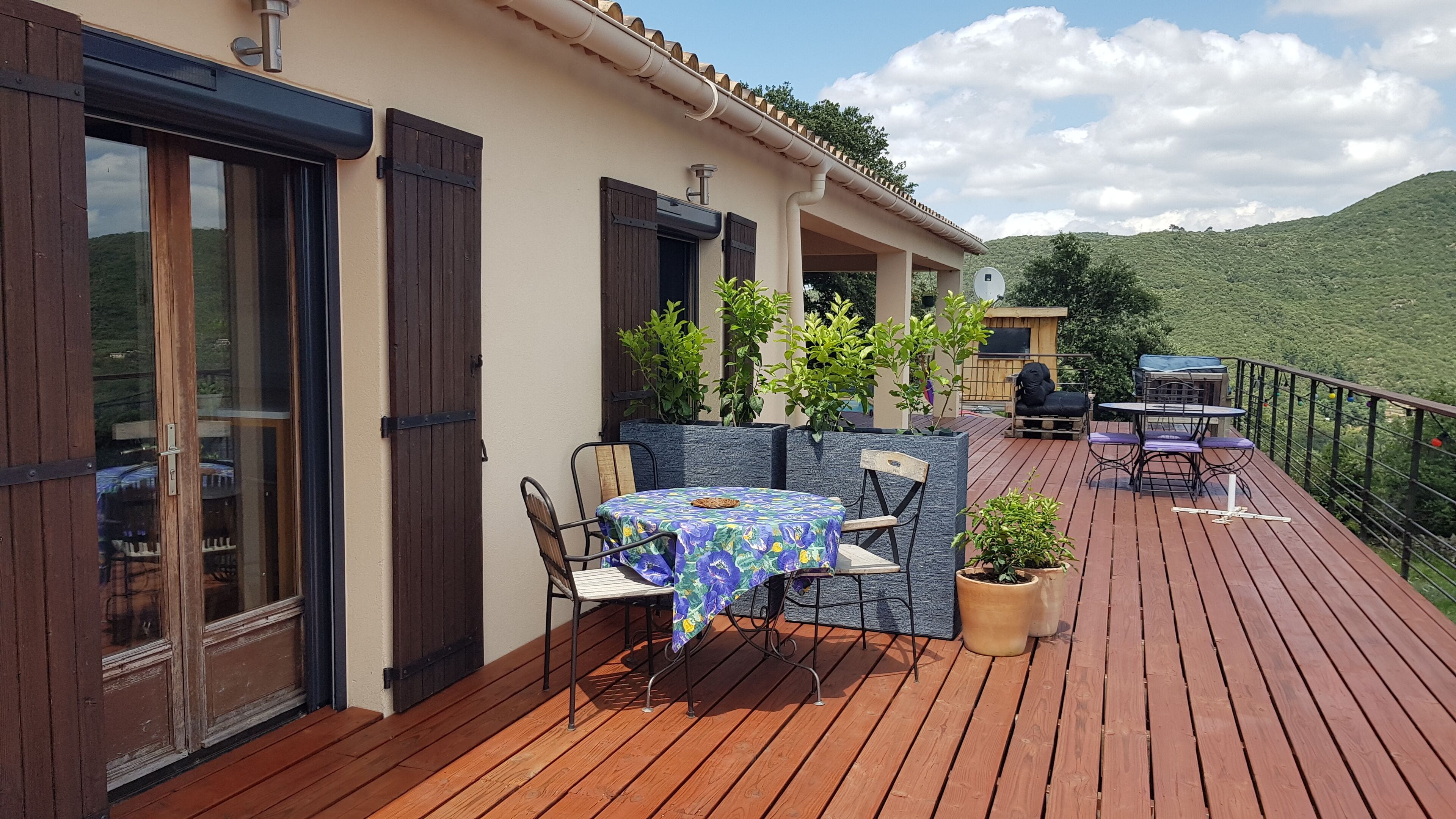 Au royaume des chats