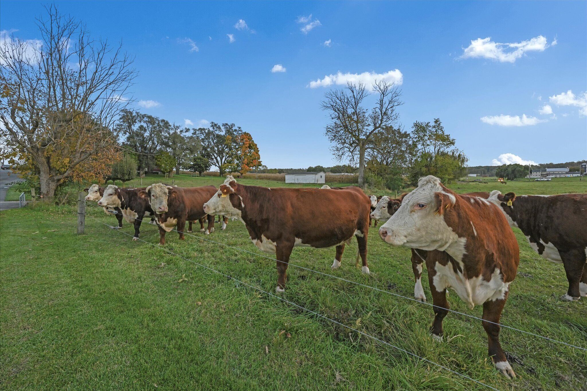 Quiet, private apartment on a 160-year-old farm. Attractions within 5 miles.