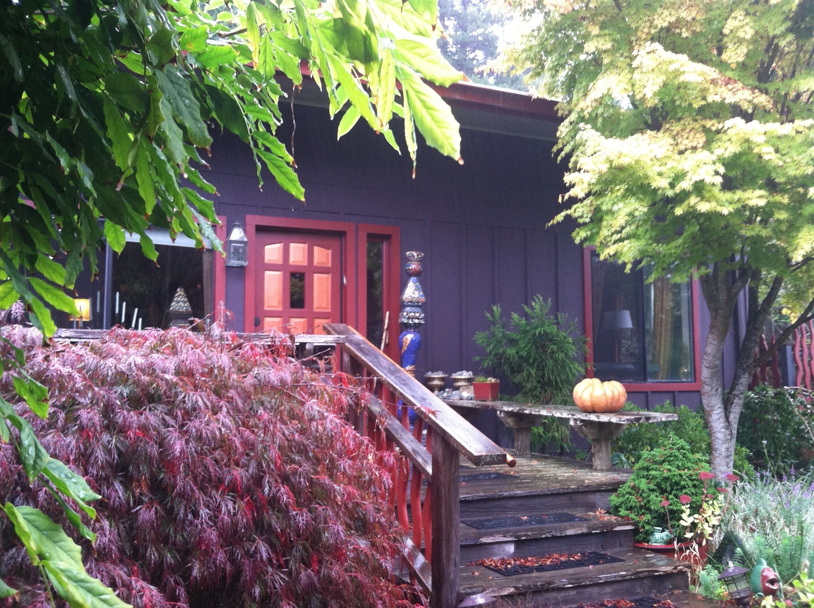 Fickle Hill Sculpture Garden and Redwood Forest