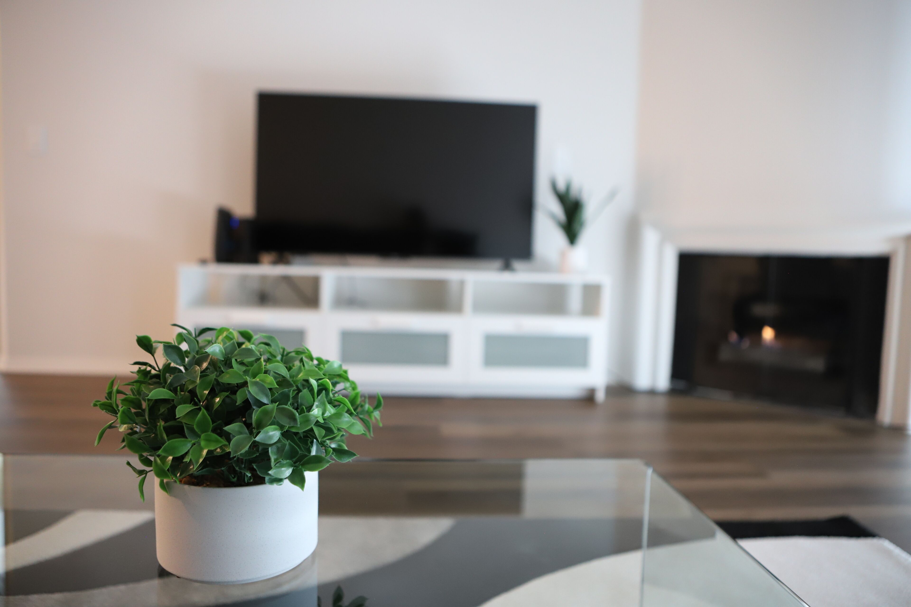 Beautiful place near the Beach