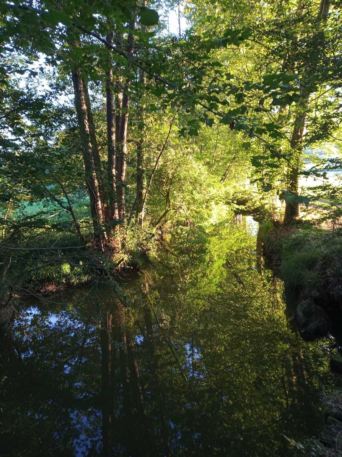 Gîte 4 Étoiles Dans une Ferme Béarnaise 2/4 Pers. en Plein Coeur du Jurançon
