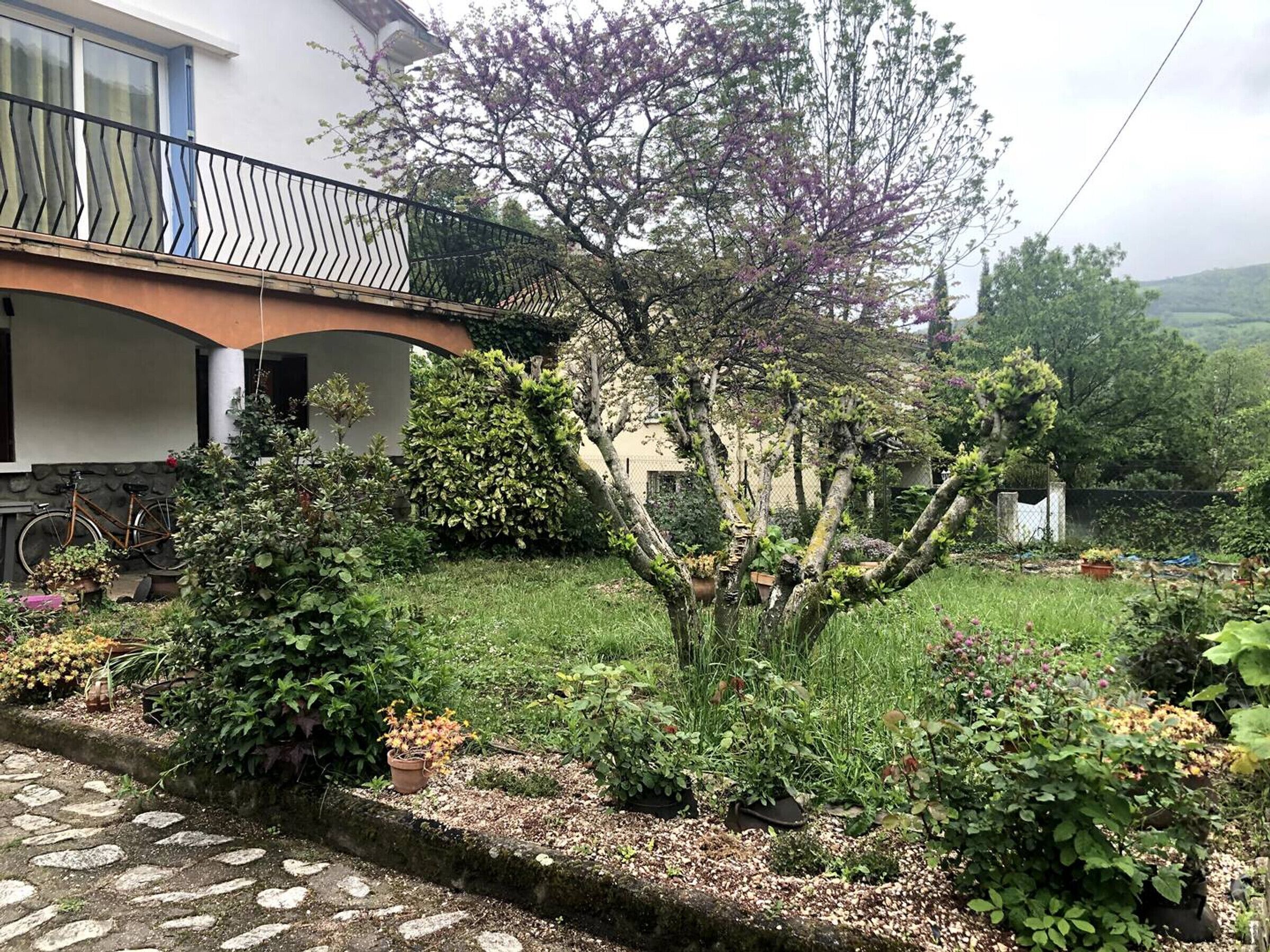 Apartment Prats-de-Mollo-la-Preste, 1 bedroom, 4 persons