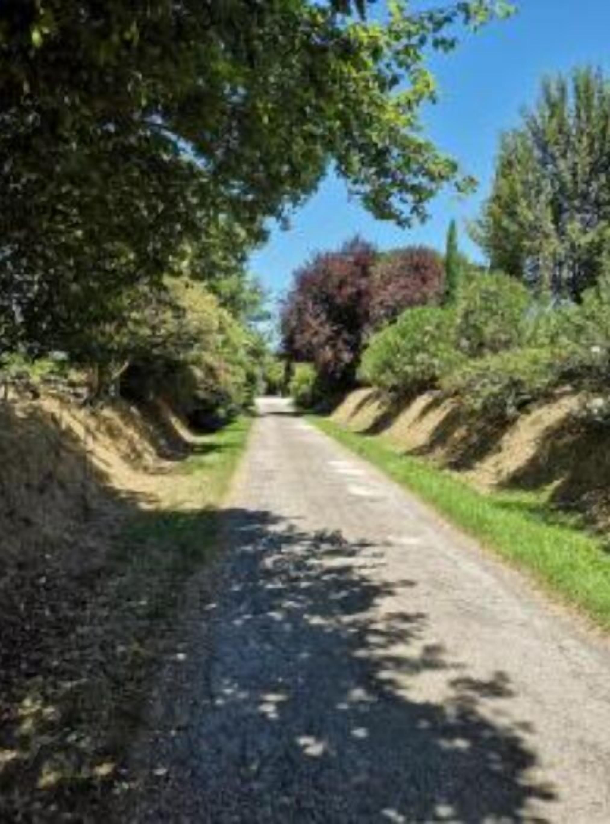 Au Bel Air