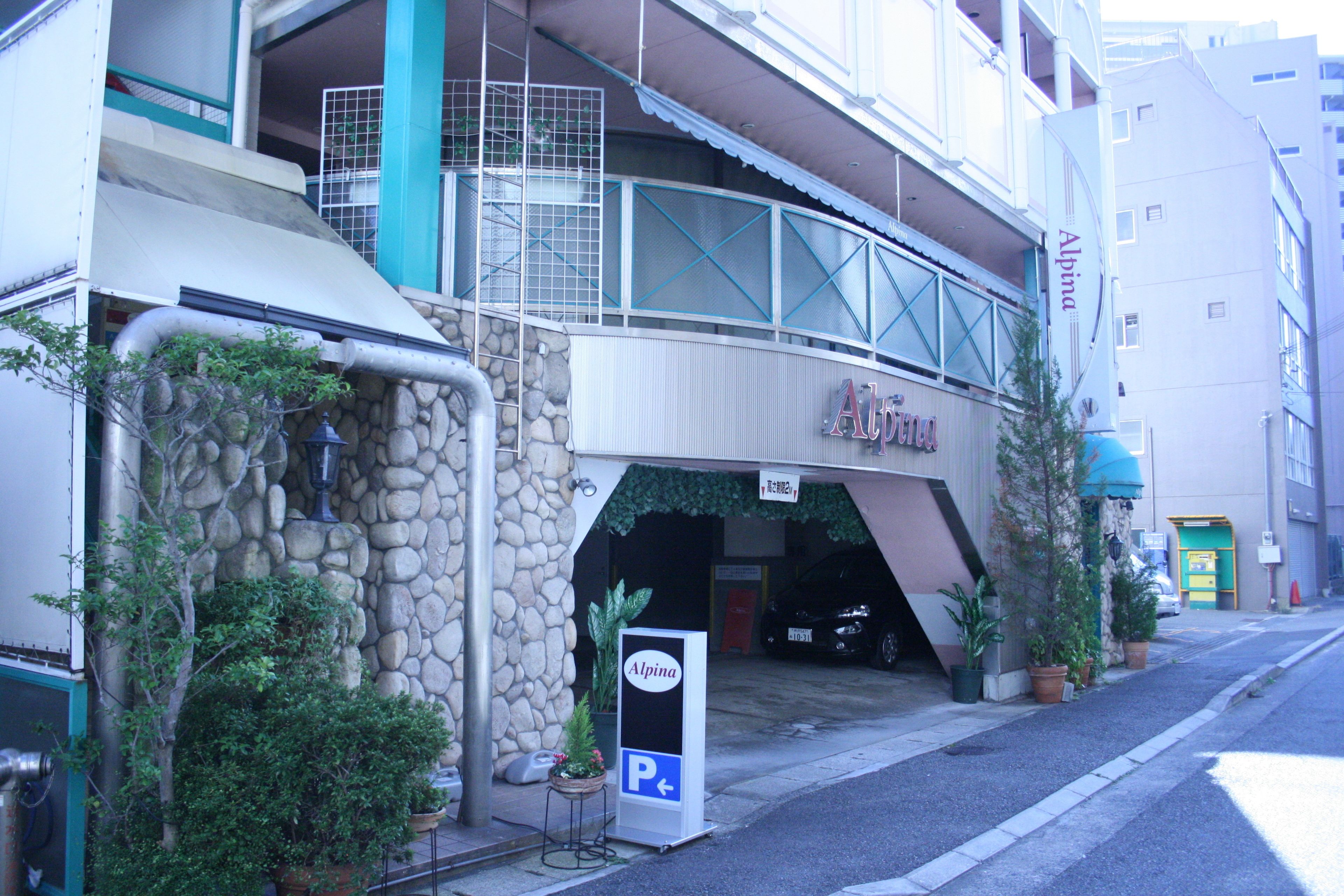 Hotel Alpina