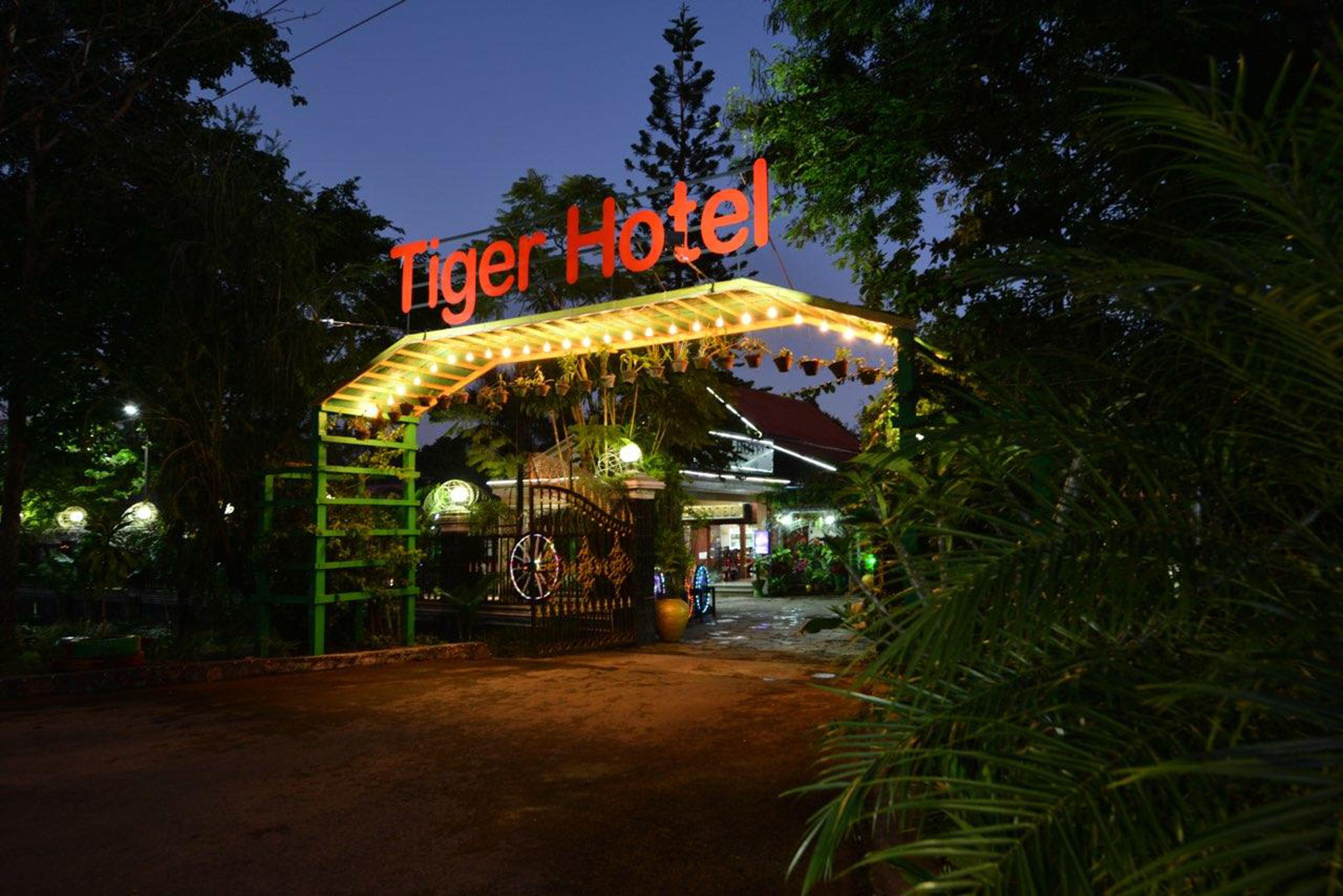 Tiger Hotel