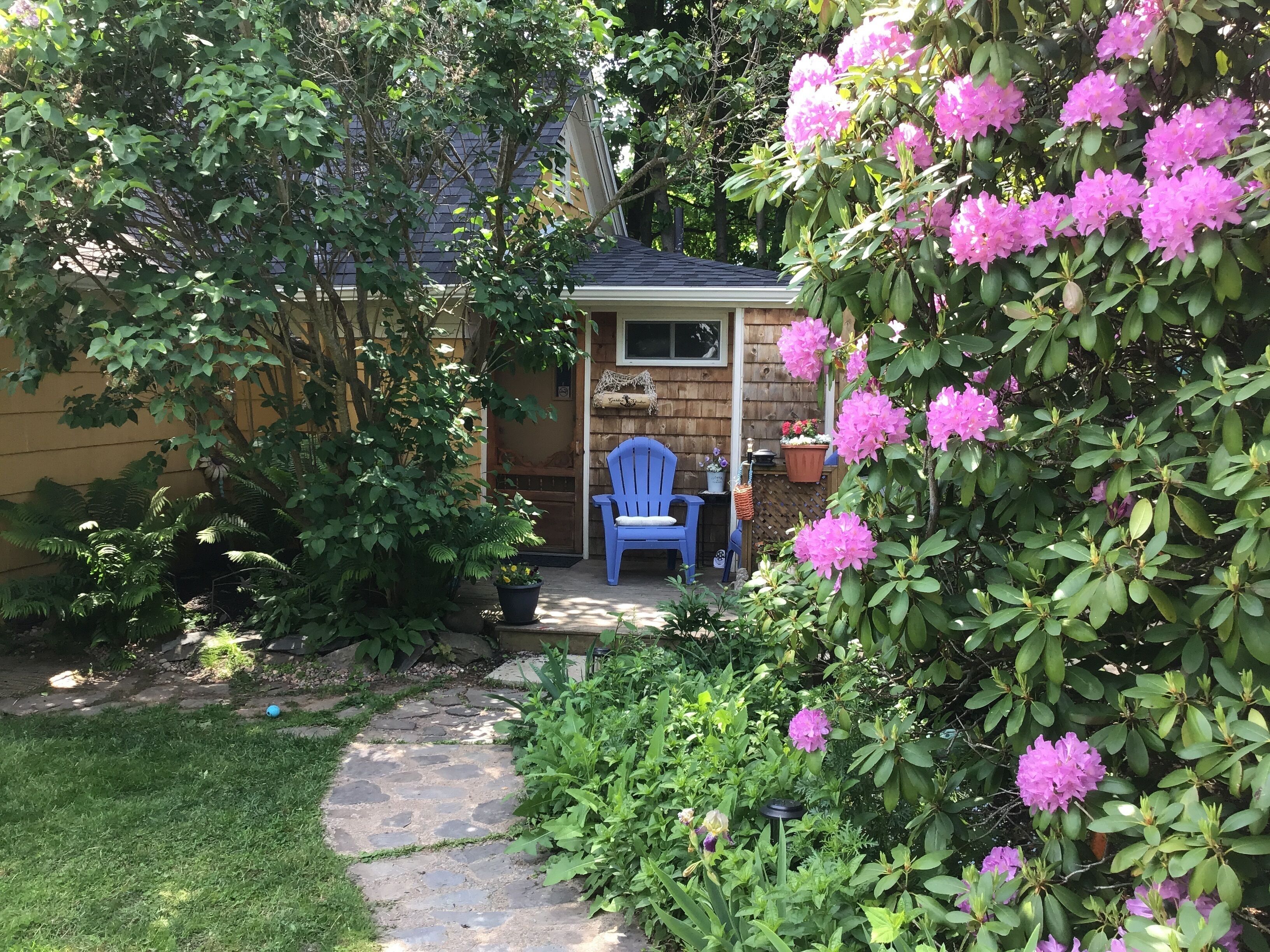 Garden Studio