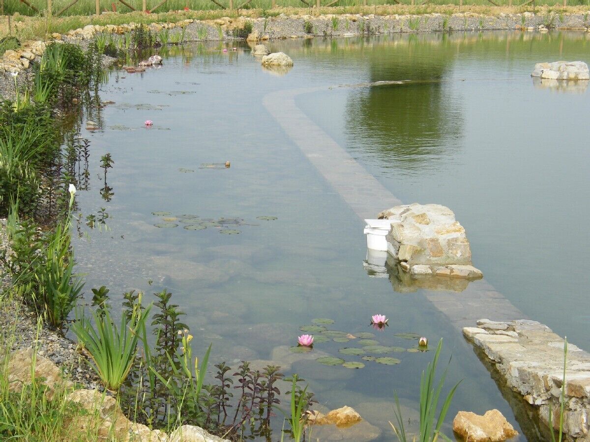 Country farmhouse with large organic swimming-pool and garden