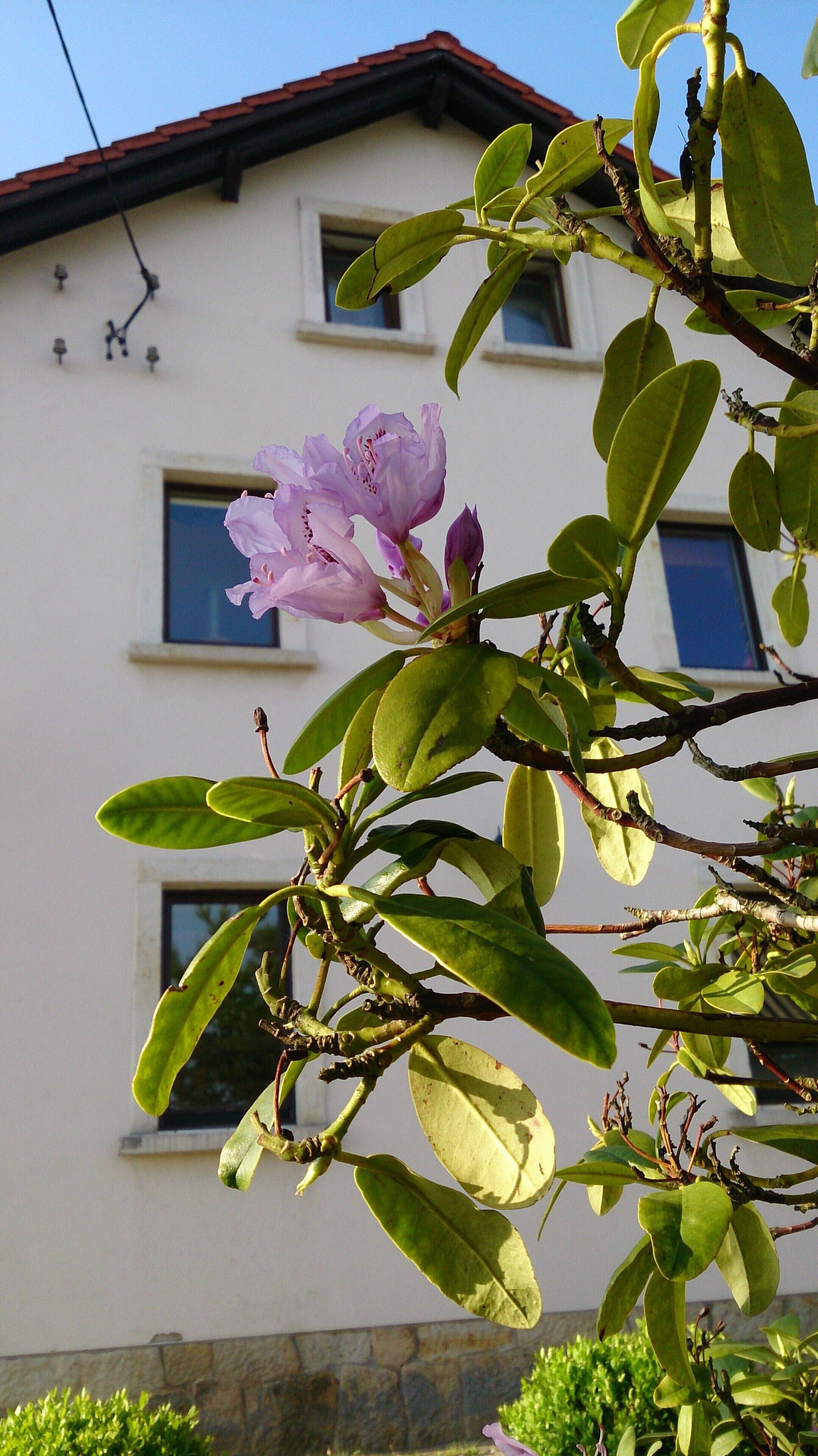 Apartment Saxon Switzerland
