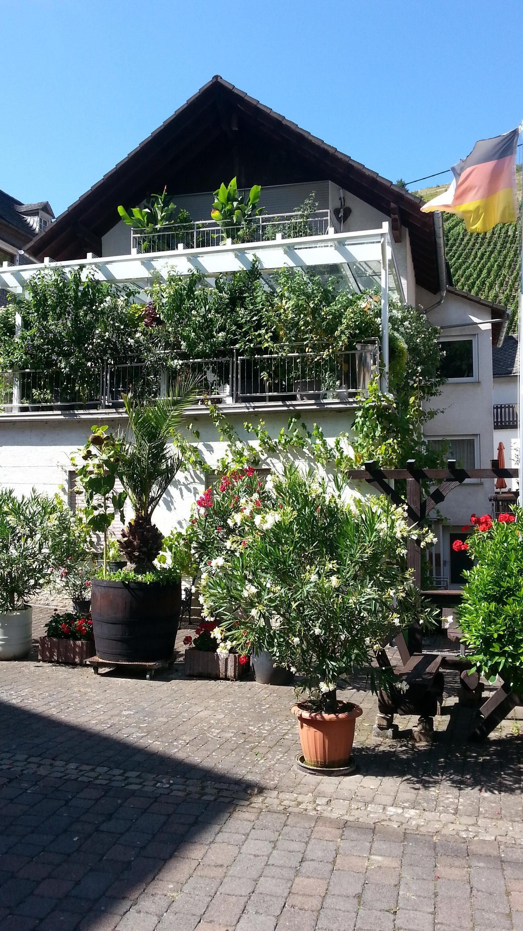 Hiking in the Middle Rhine