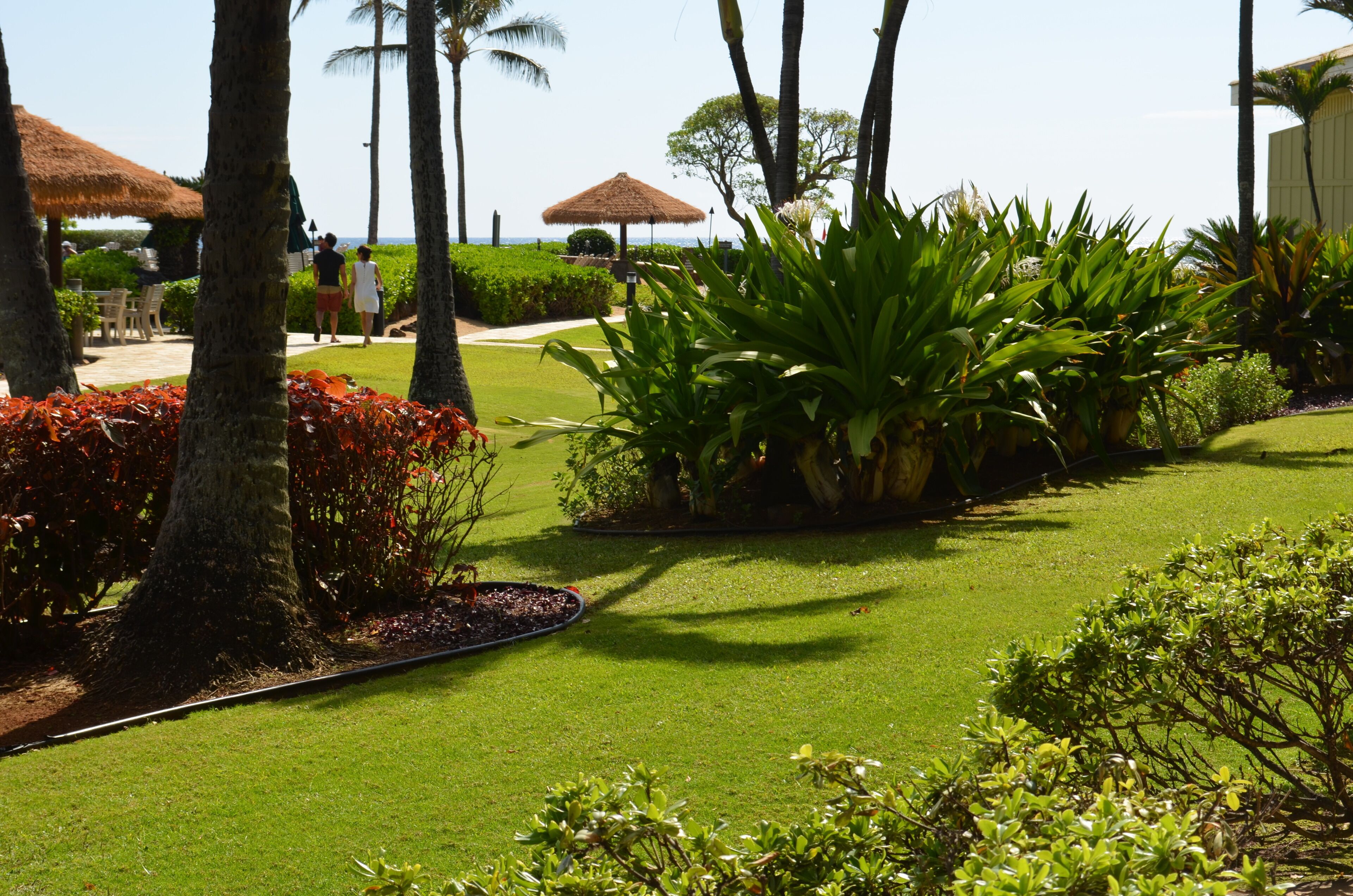 Ground floor, step to pool/beach via lanai. 4-Star Beachfront Resort,