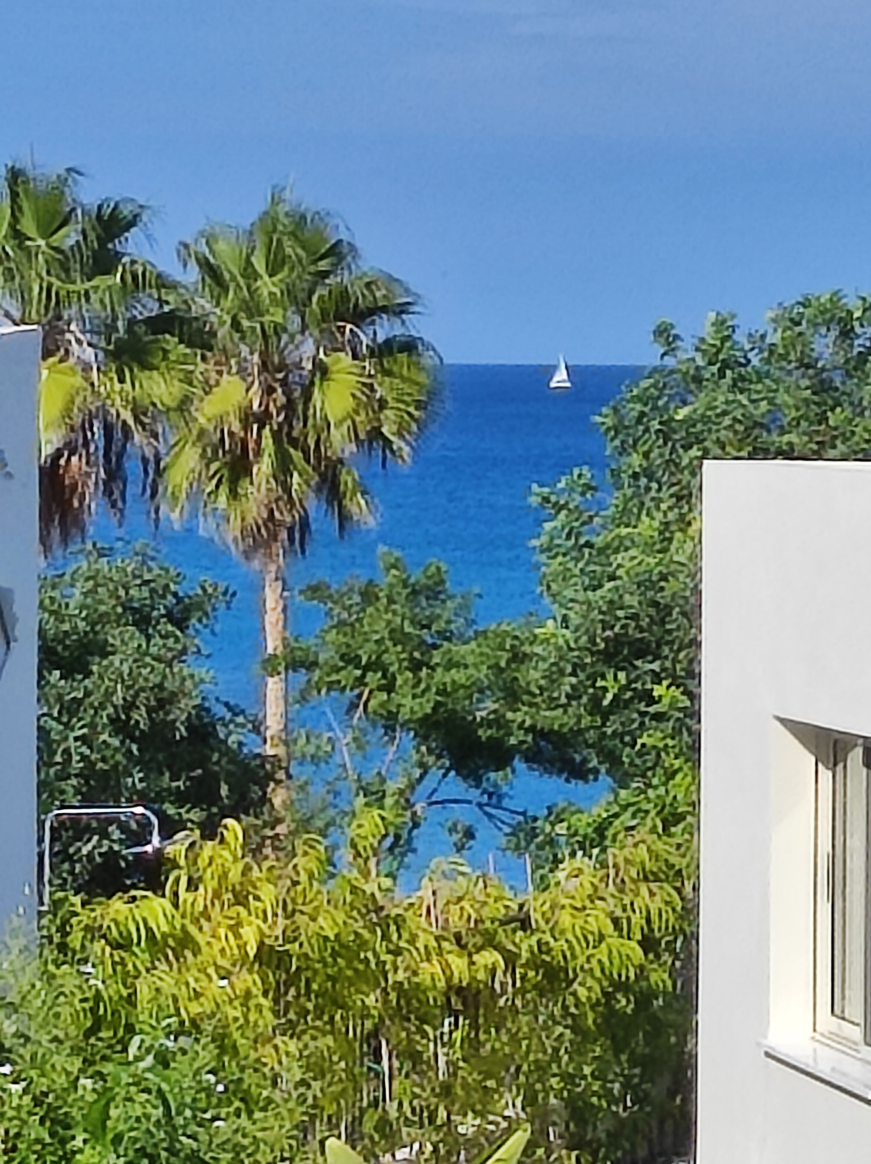 ARSINOE 29 "Nest" by the sea: Lovingly + very well furnished holiday apartment 
