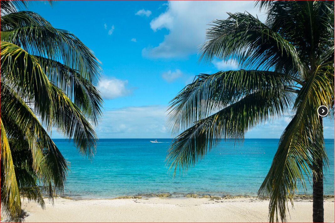 Fabulous Beachfront Condo - Book Now for Your Island Vacation