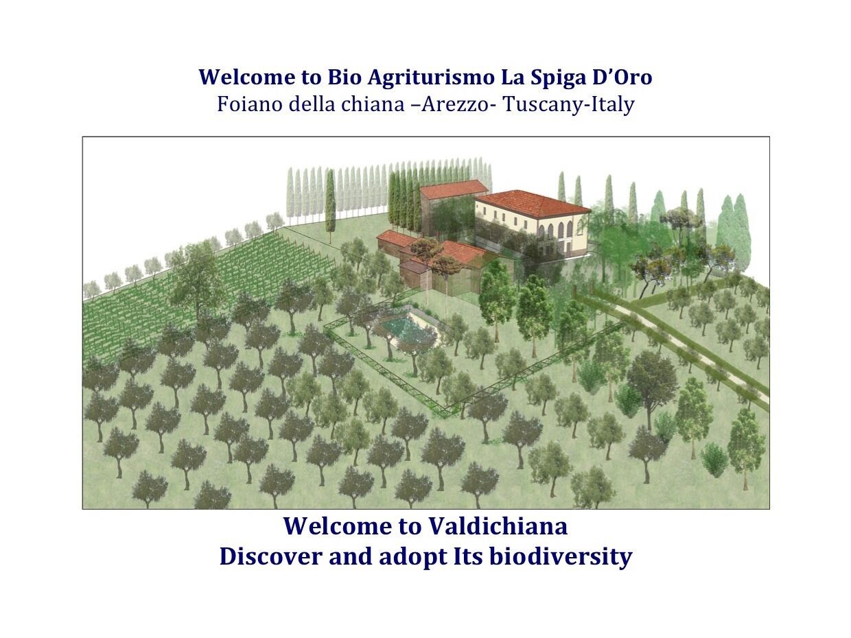 Bio Agriturismo La Spiga D'oro