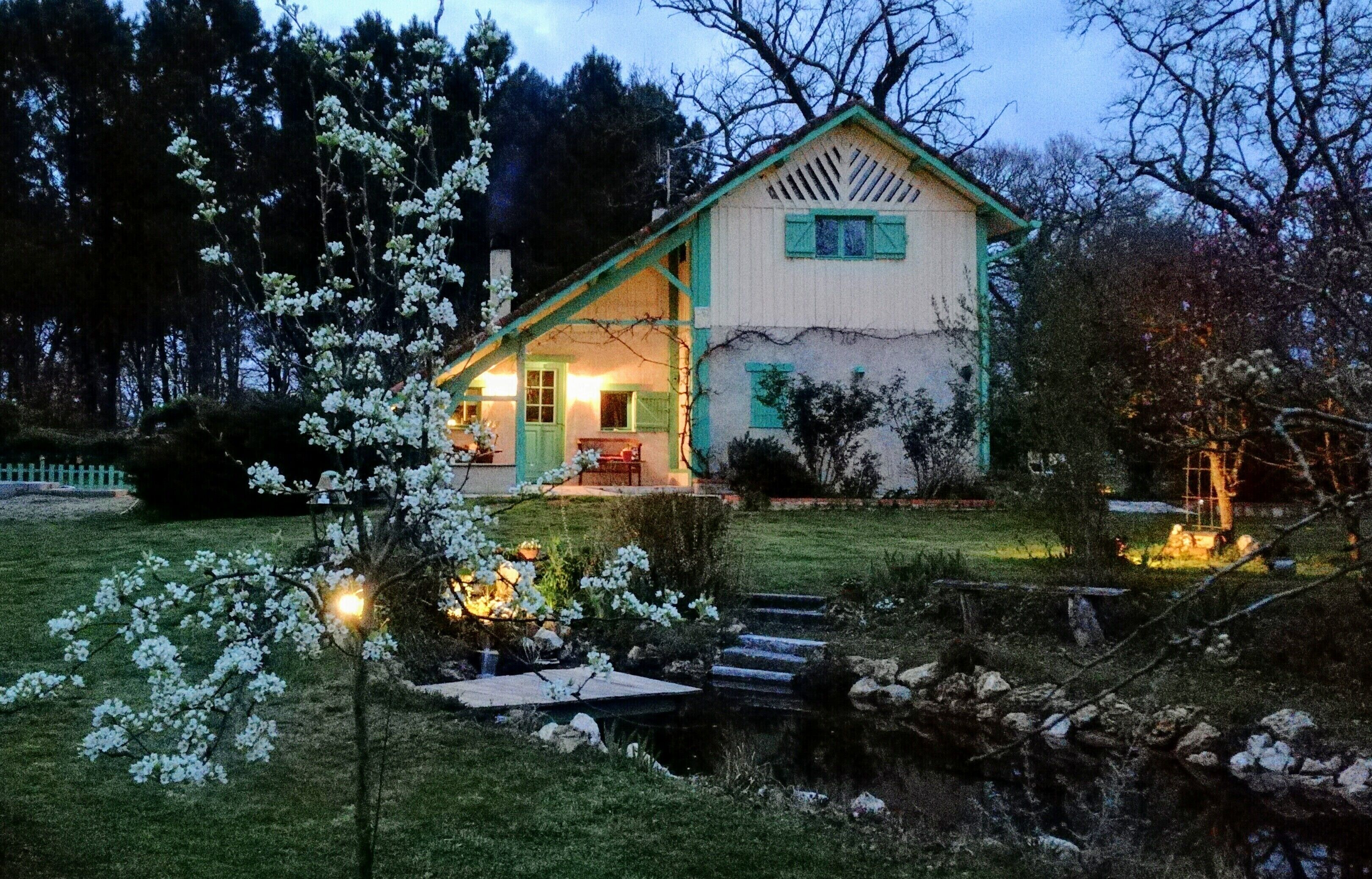The Hosts Landes (Ch. Yellow)