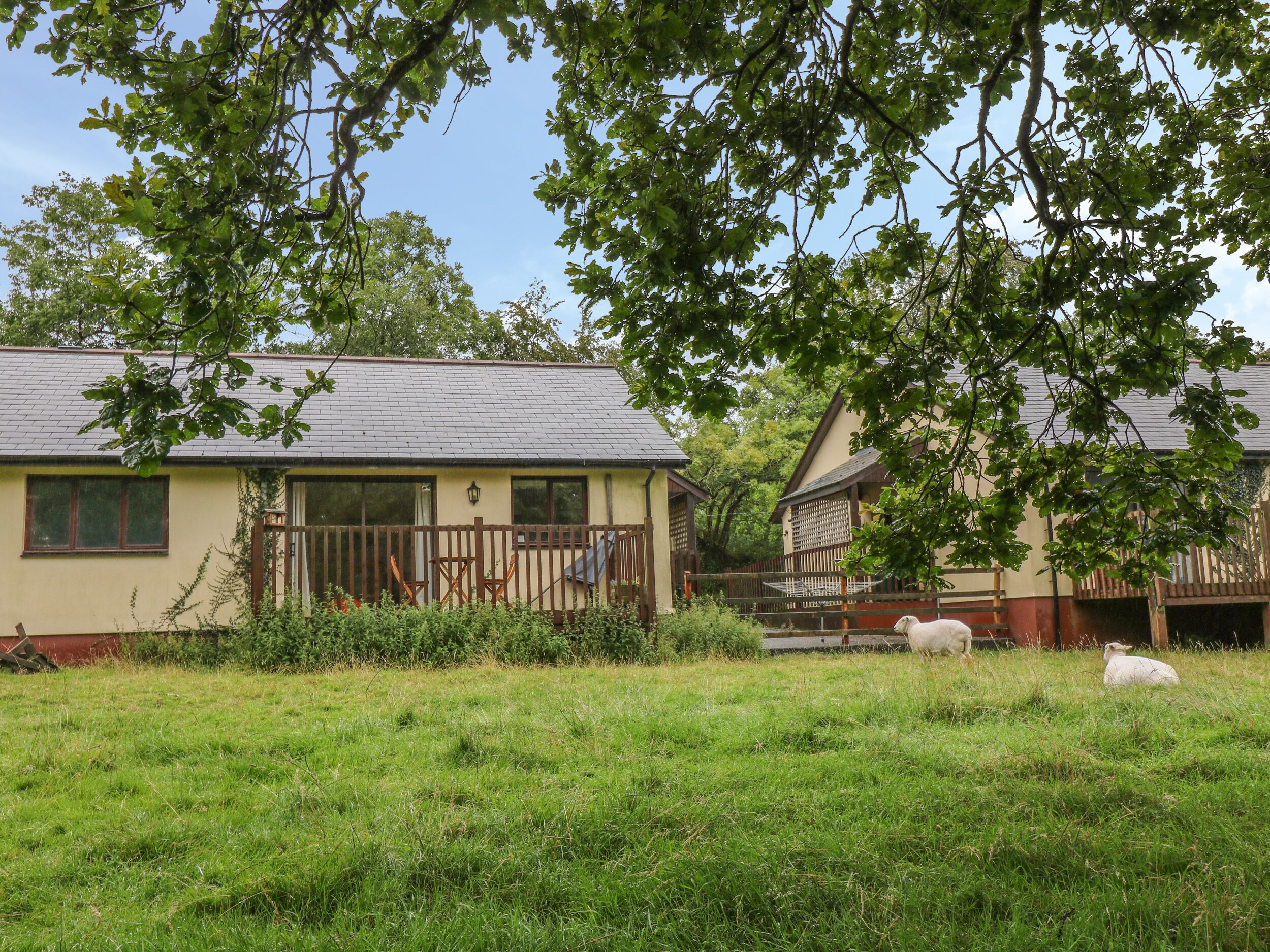 WOODPECKER, pet friendly, with a garden in Ashwater