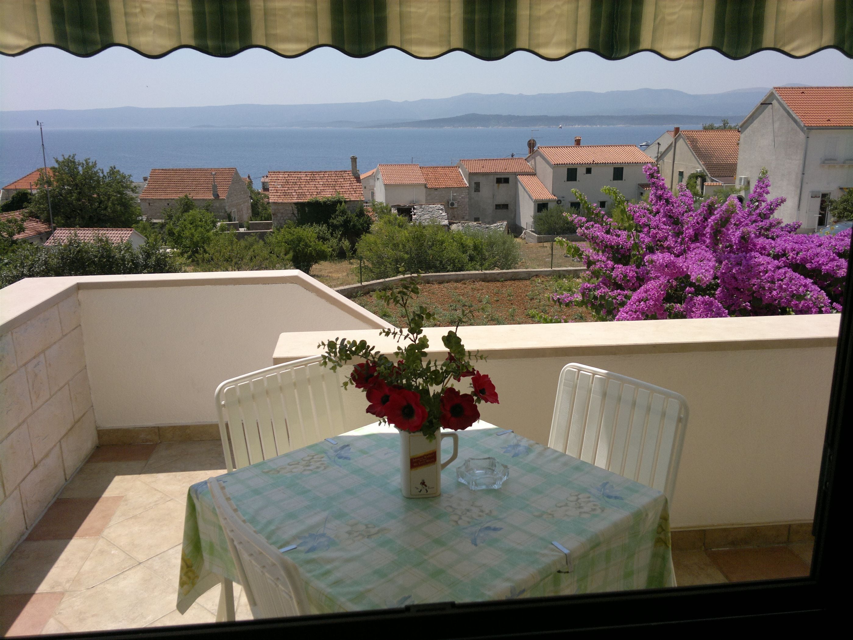 Apartments Fani (38581-A1) - Bol - island Brac