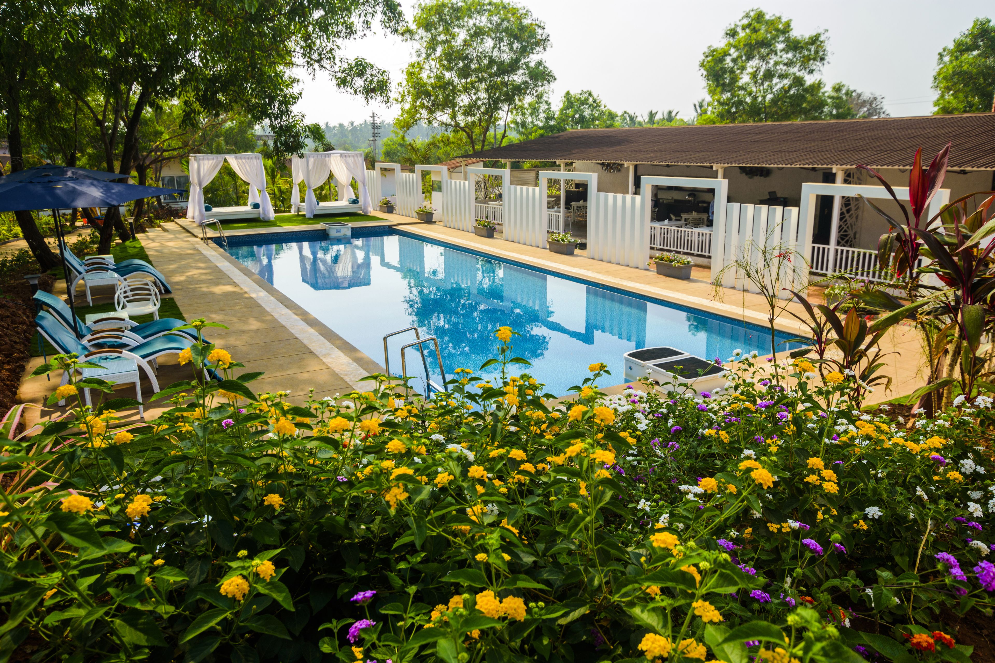 White woods Resort & Spa