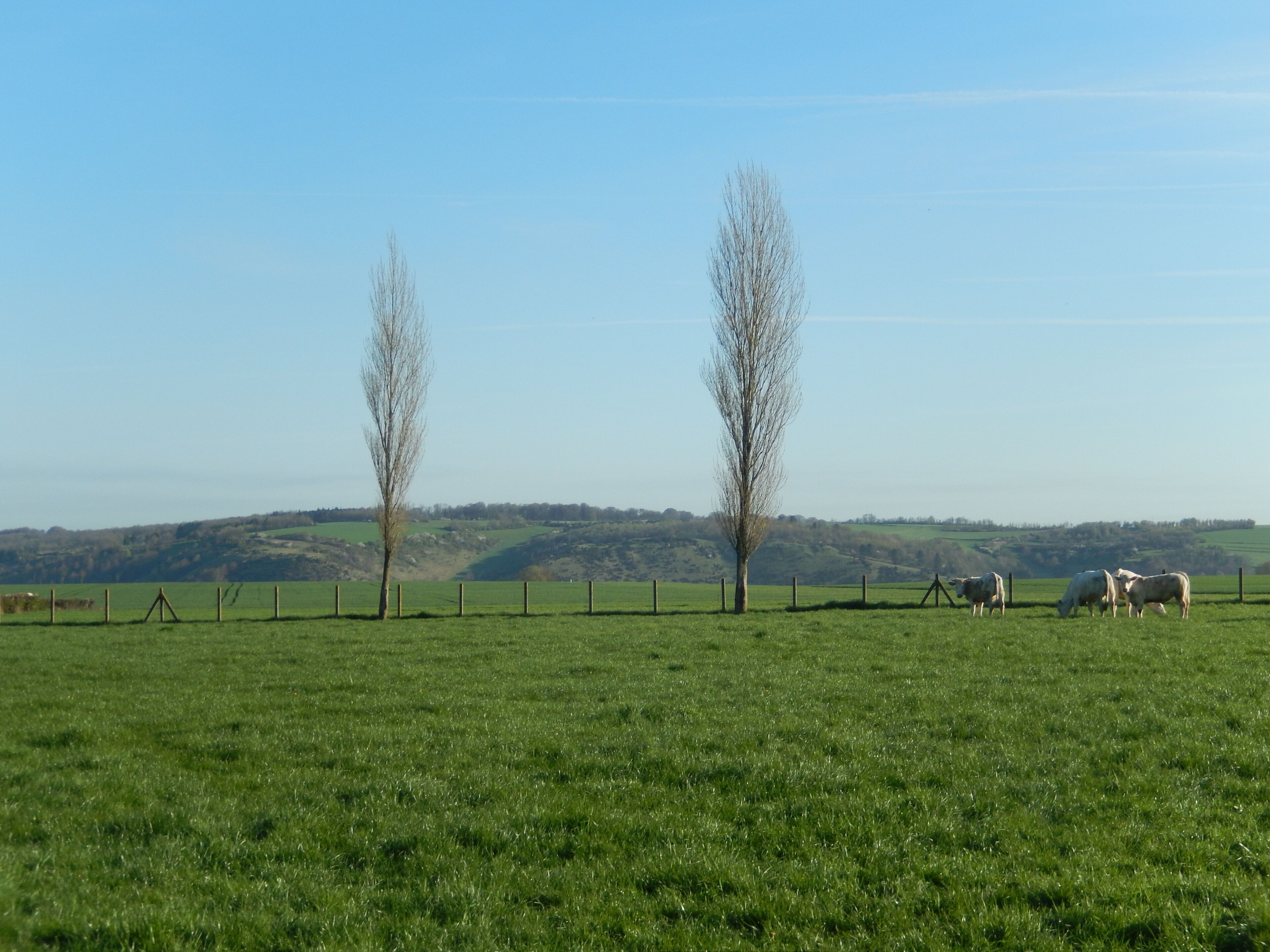 STUDIO Appart gite Petite Halte