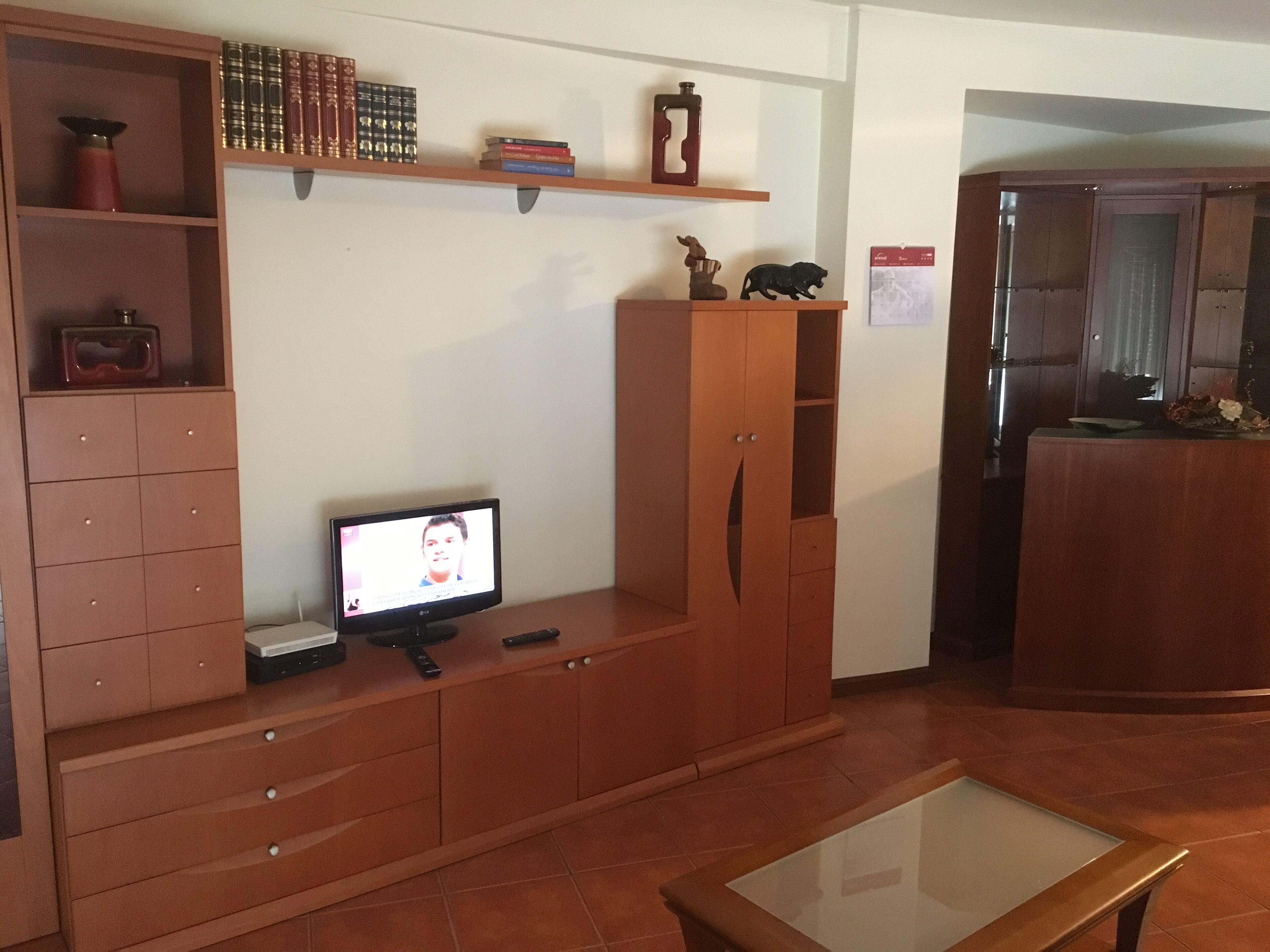 APARTMENT PHOENIX- YOUR STAY WILL BE REMEMBERED FOREVER IN YOUR MEMORY.
