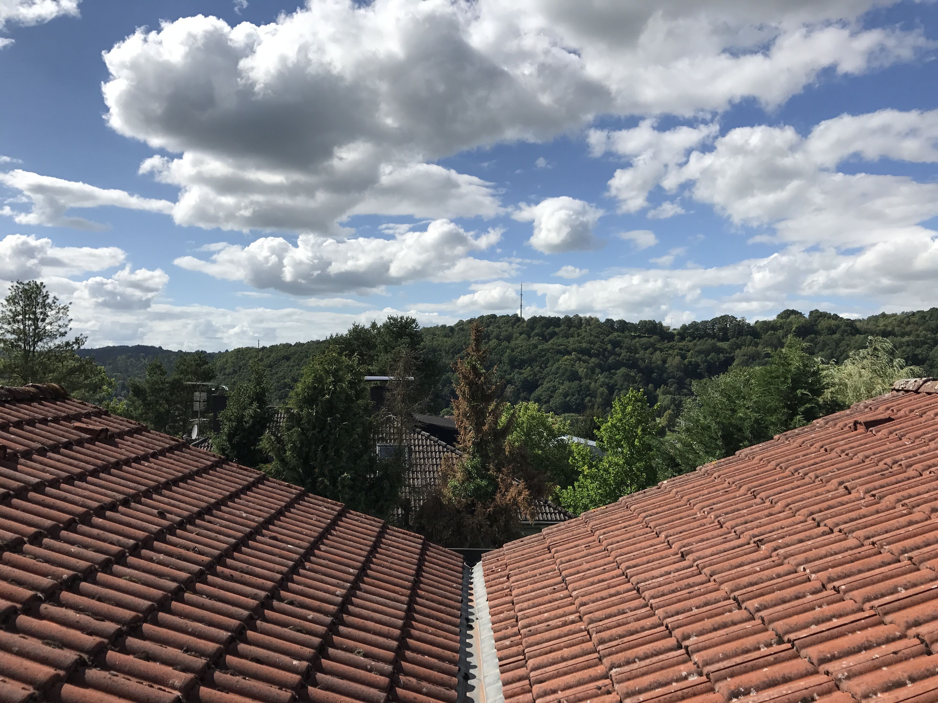 large apartment in Eppenbrunn southwest Palatinate up to 5 persons