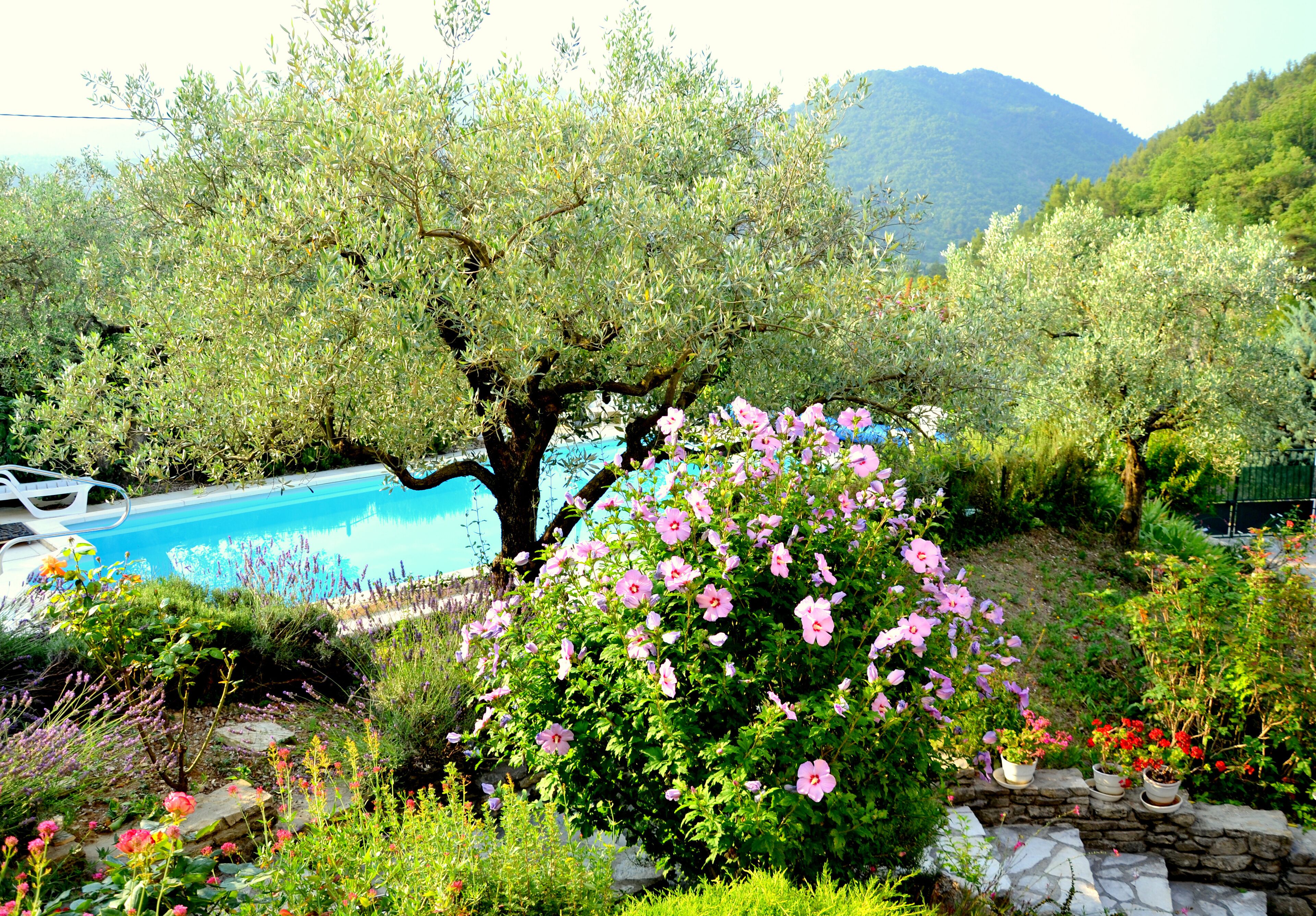 Holiday apartment in the hills behind Nyons f 2 Pers., Pool, with beautiful view